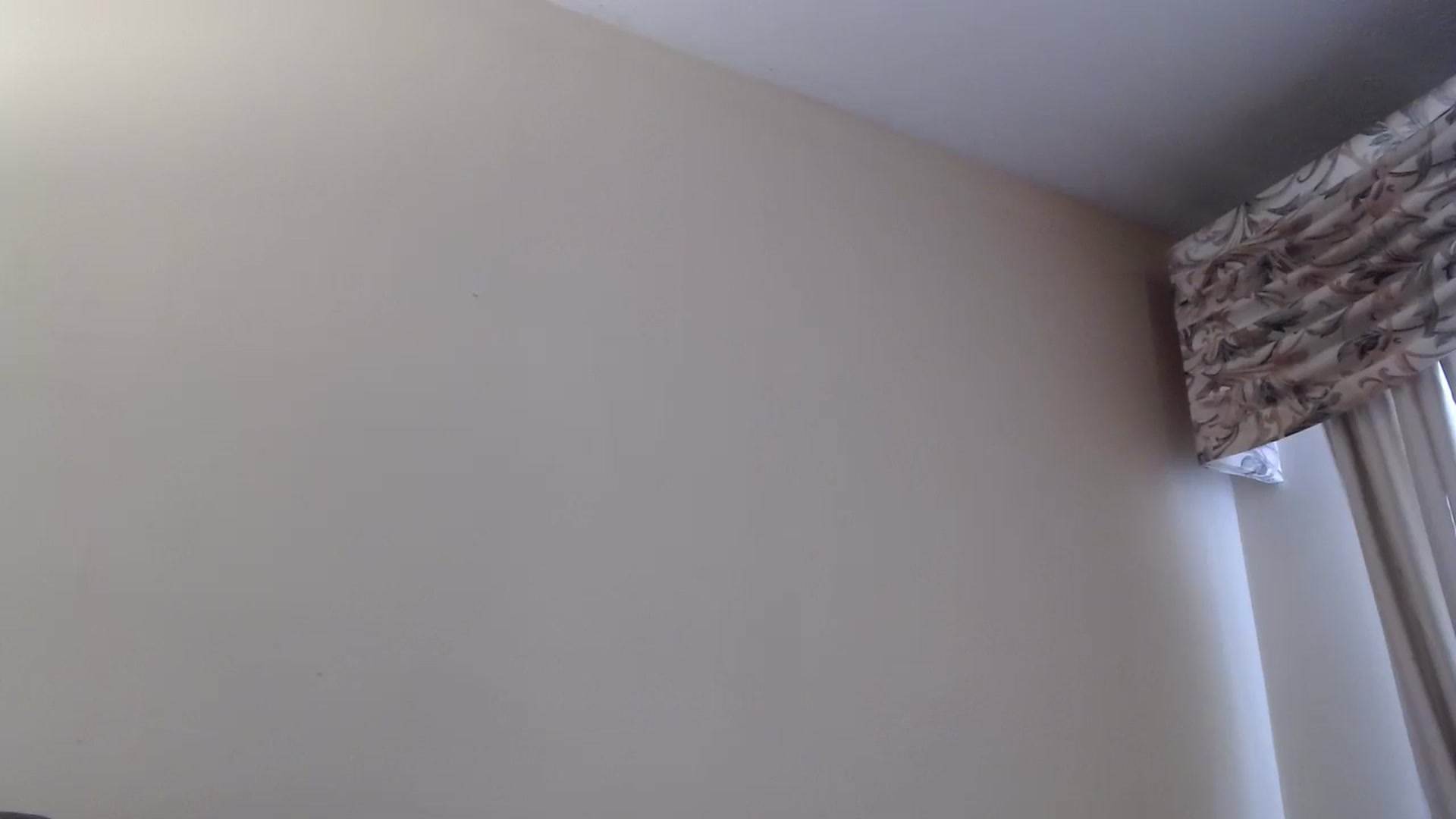 Gallery image thumbnail from PokeAPuss's myfreecams stream on, 12/07/2024, 14:53 image 14 of 20