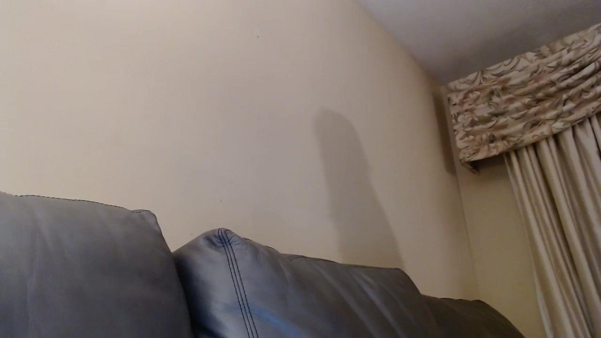 Gallery image thumbnail from PokeAPuss's myfreecams stream on, 12/08/2024, 12:13 image 6 of 20