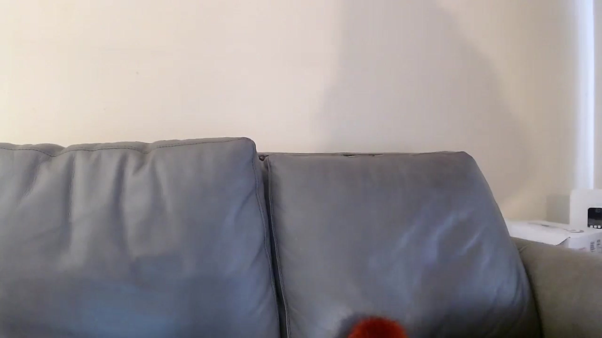 Gallery image thumbnail from PokeAPuss's myfreecams stream on, 12/08/2024, 13:48 image 7 of 20