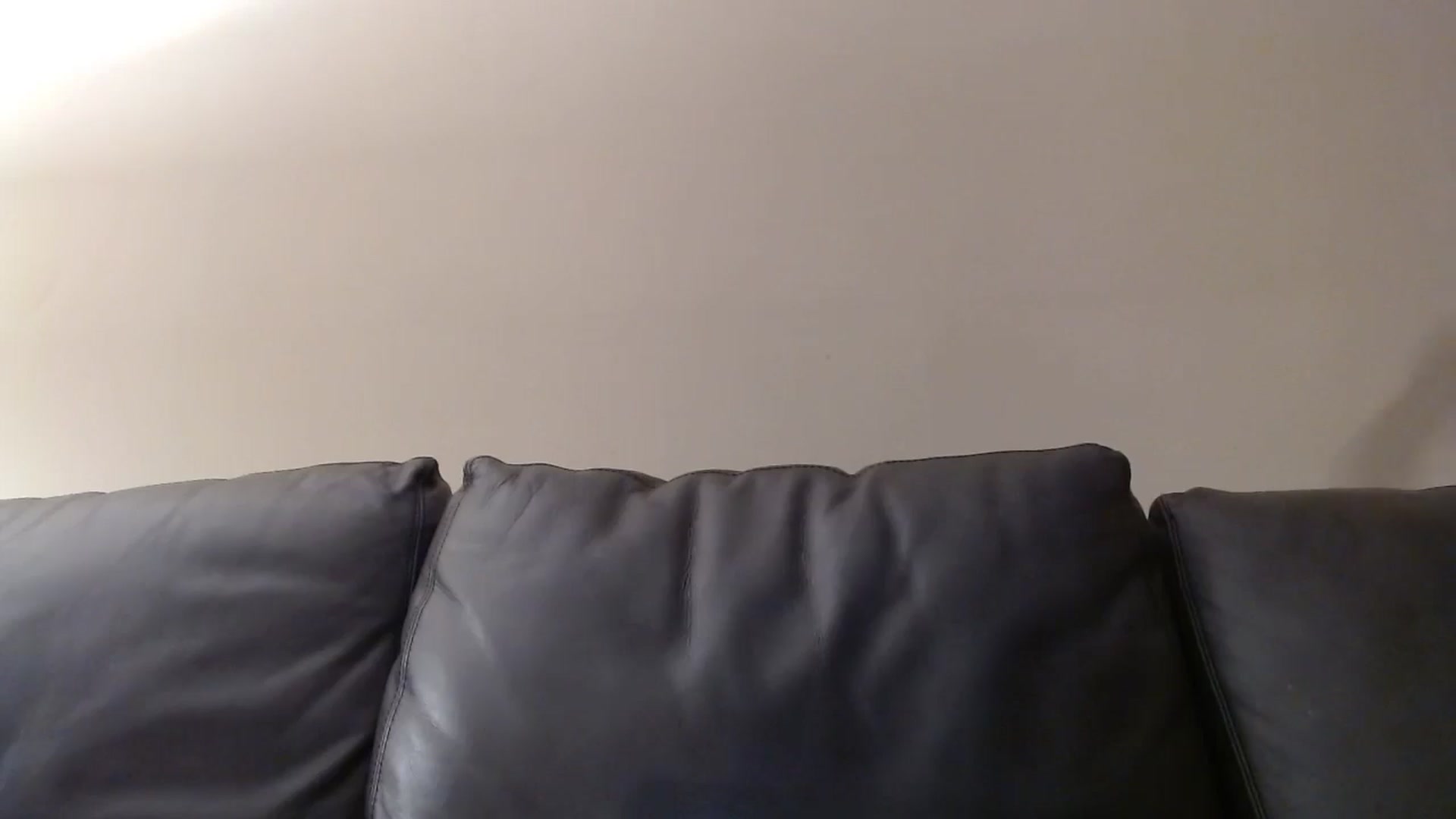 Gallery image thumbnail from PokeAPuss's myfreecams stream on, 12/10/2024, 12:16 image 4 of 20