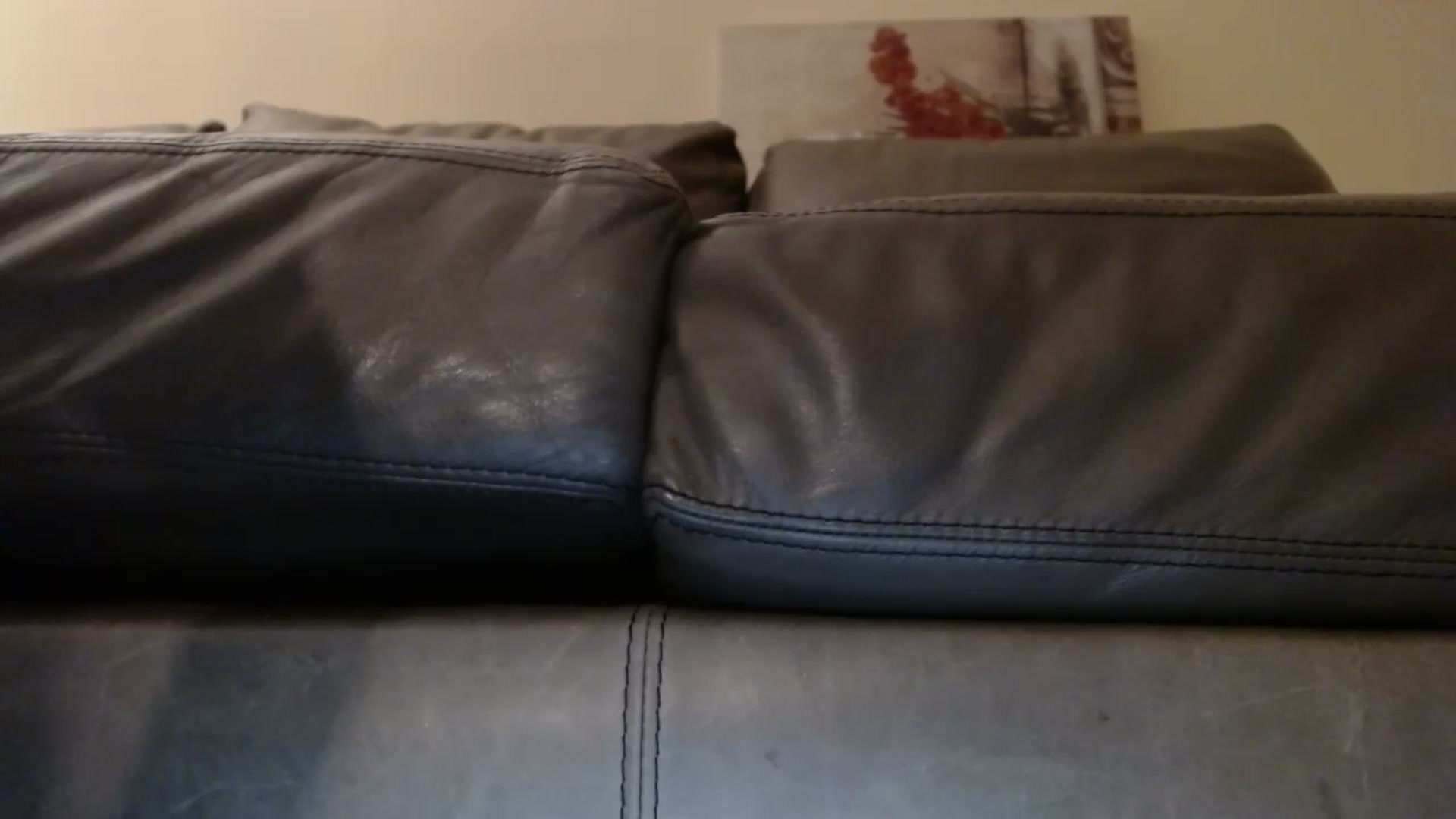 Gallery image thumbnail from PokeAPuss's myfreecams stream on, 12/16/2024, 23:59 image 17 of 20