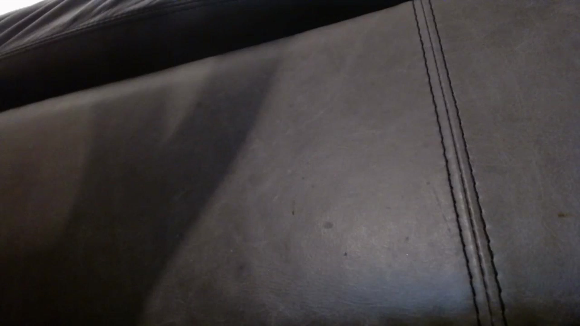 Gallery image thumbnail from PokeAPuss's myfreecams stream on, 12/16/2024, 23:59 image 15 of 20