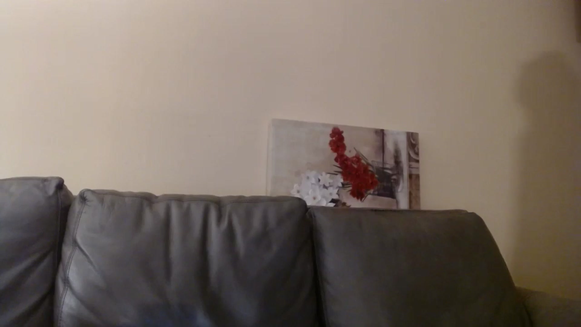Gallery image thumbnail from PokeAPuss's myfreecams stream on, 12/16/2024, 23:59 image 2 of 20