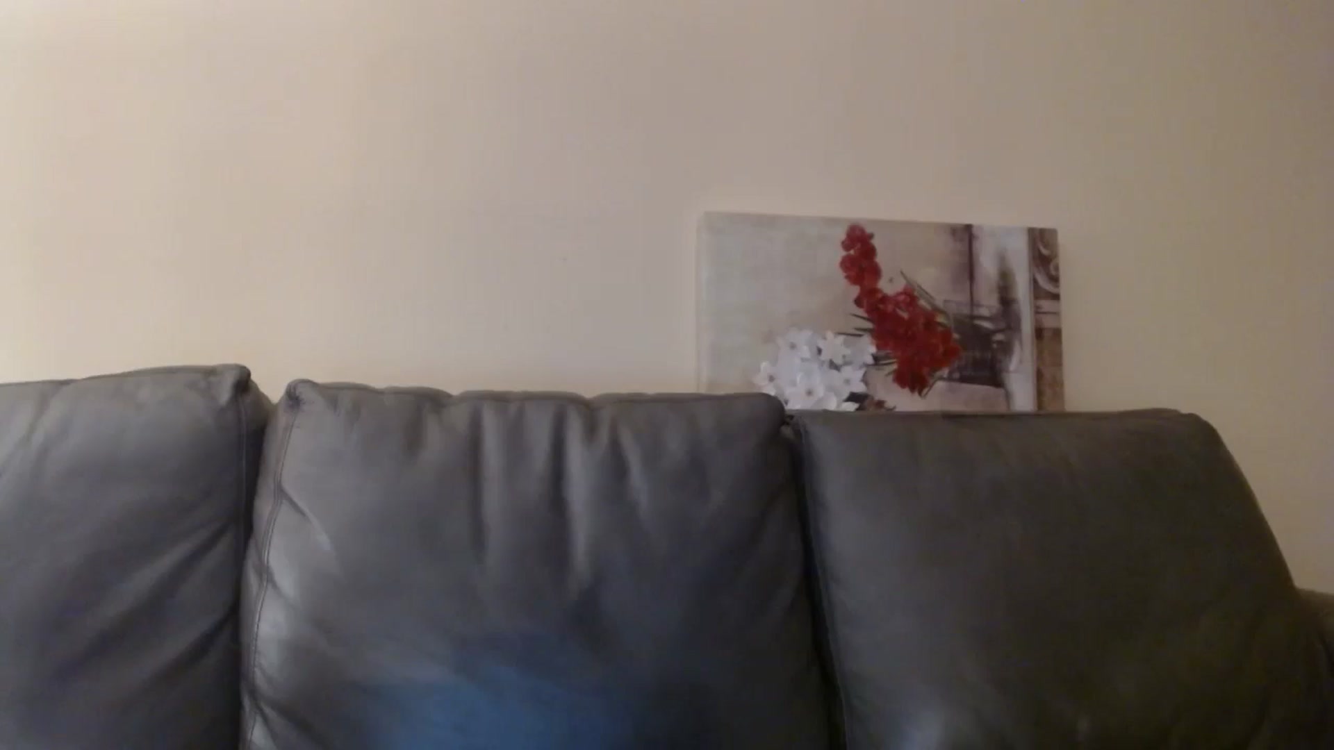 Gallery image thumbnail from PokeAPuss's myfreecams stream on, 12/16/2024, 23:59 image 12 of 20