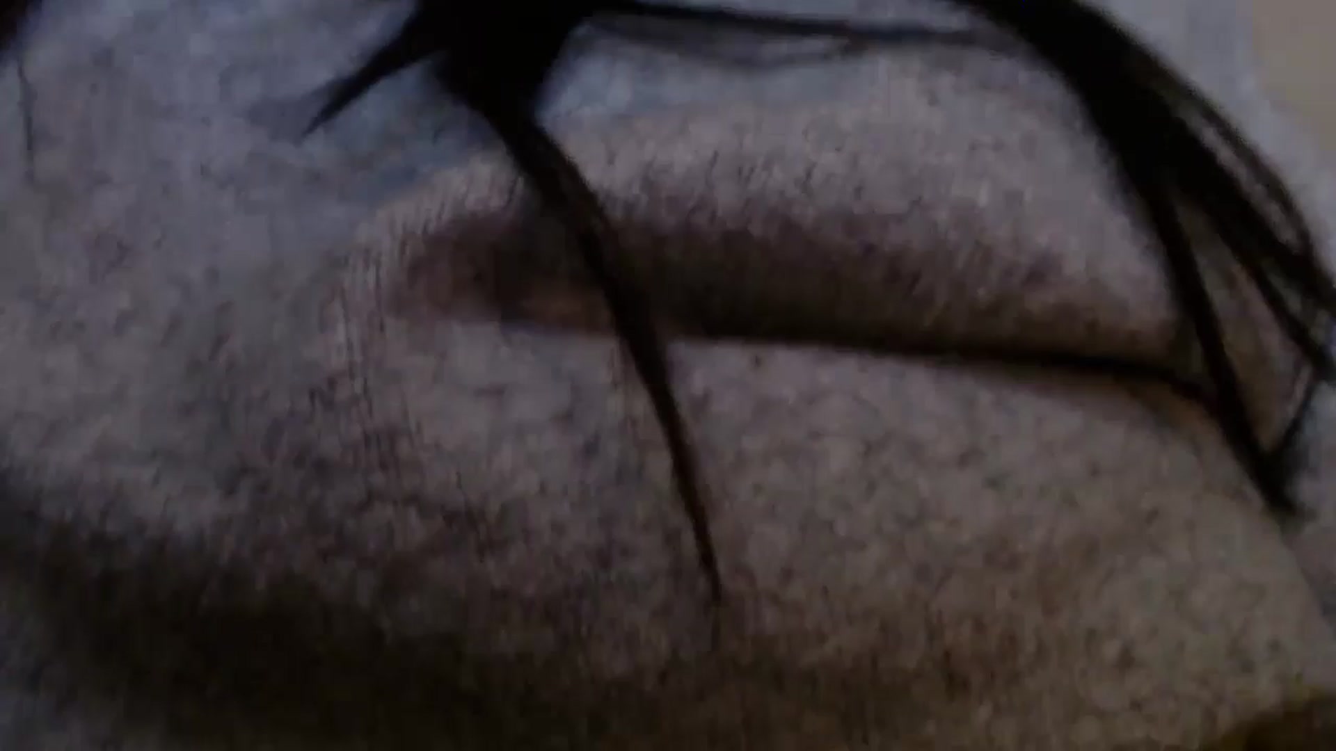 Gallery image thumbnail from PokeAPuss's myfreecams stream on, 01/08/2025, 07:35 image 1 of 20