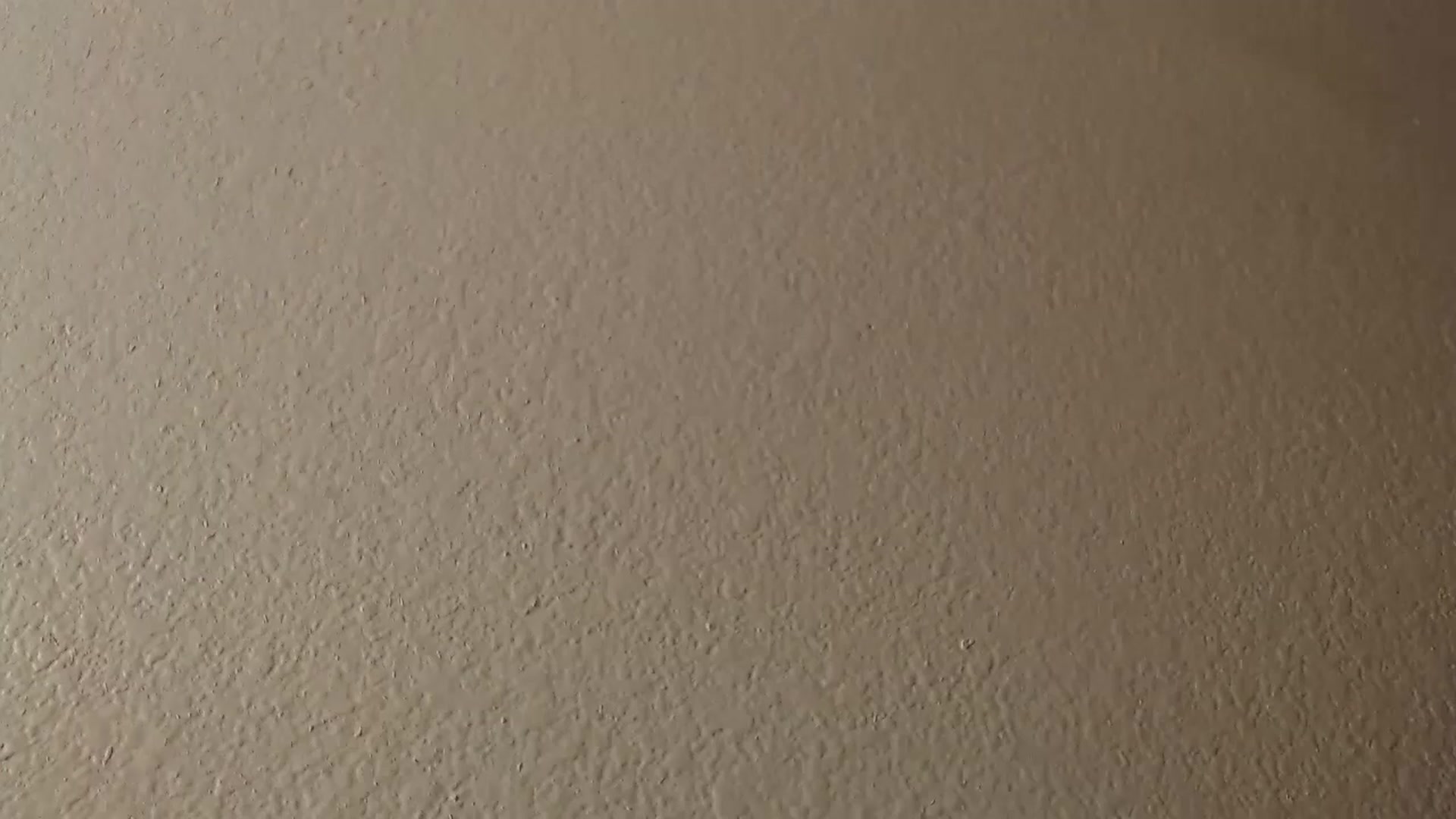 Gallery image thumbnail from PokeAPuss's myfreecams stream on, 03/02/2025, 04:55 image 18 of 20