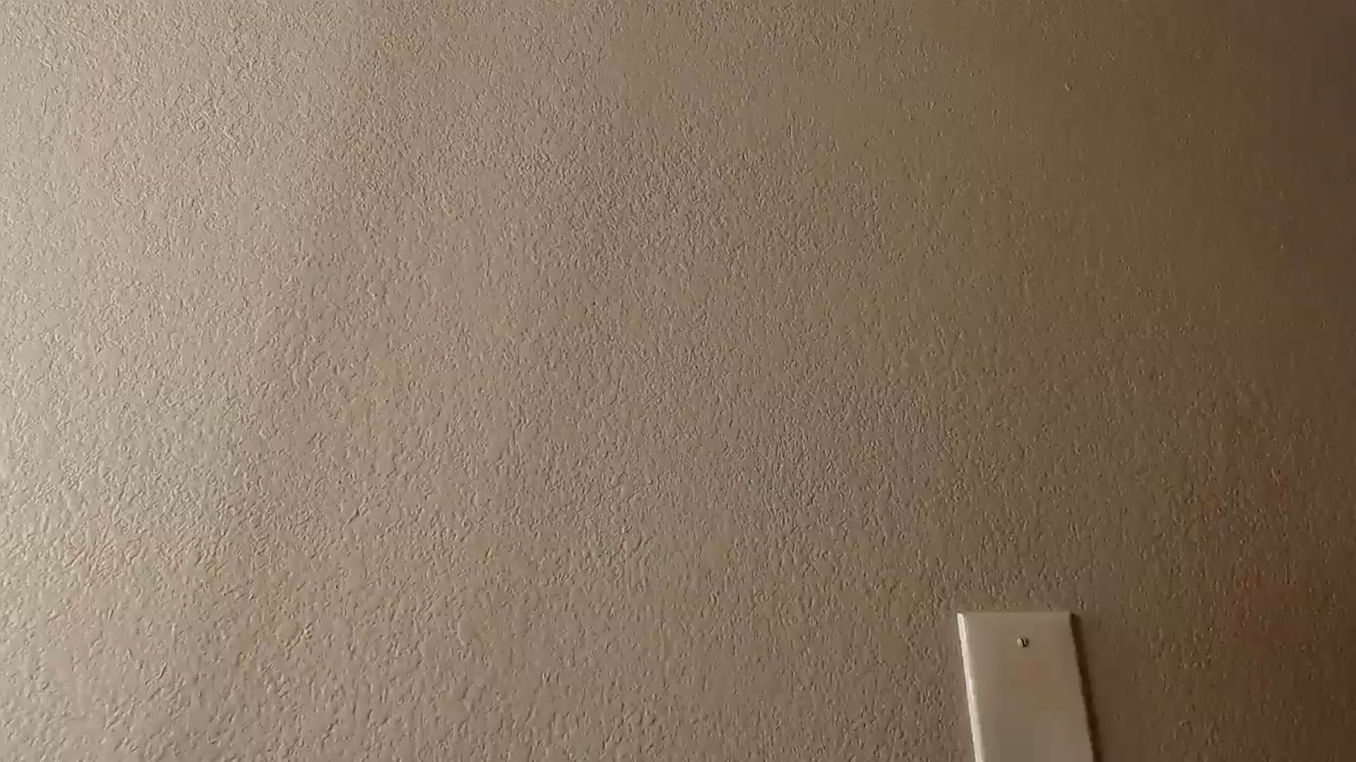 Gallery image thumbnail from PokeAPuss's myfreecams stream on, 03/10/2025, 13:12 image 12 of 20