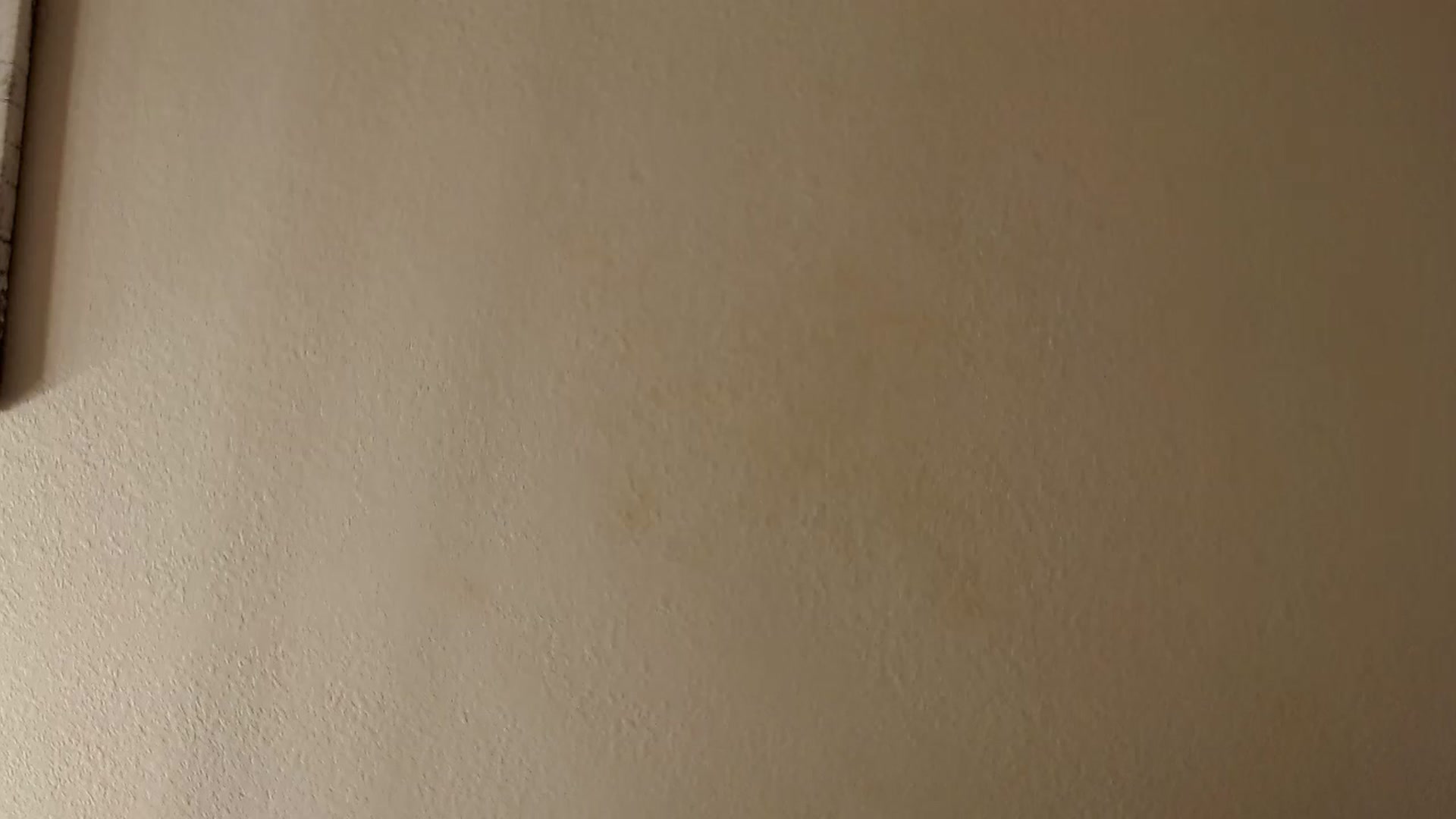 Gallery image thumbnail from PokeAPuss's myfreecams stream on, 03/15/2025, 12:51 image 16 of 20