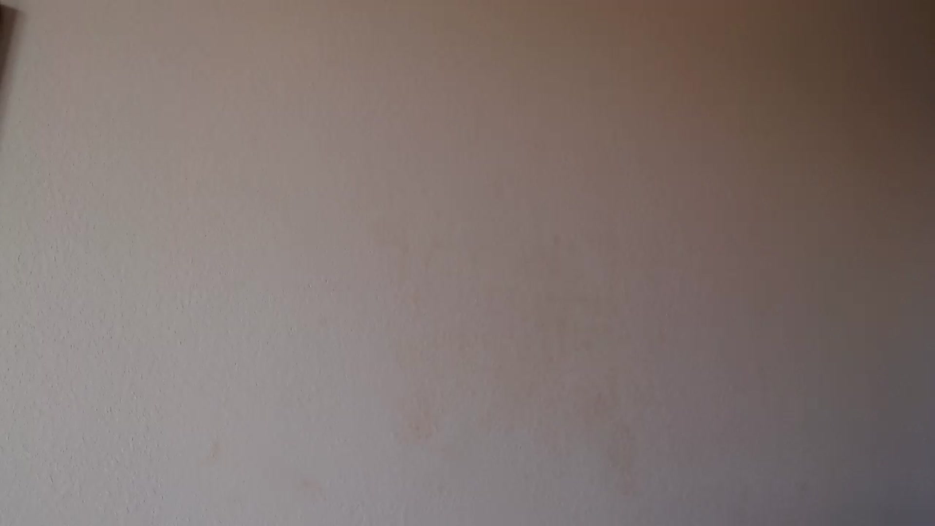 Gallery image thumbnail from PokeAPuss's myfreecams stream on, 03/26/2025, 16:44 image 17 of 20