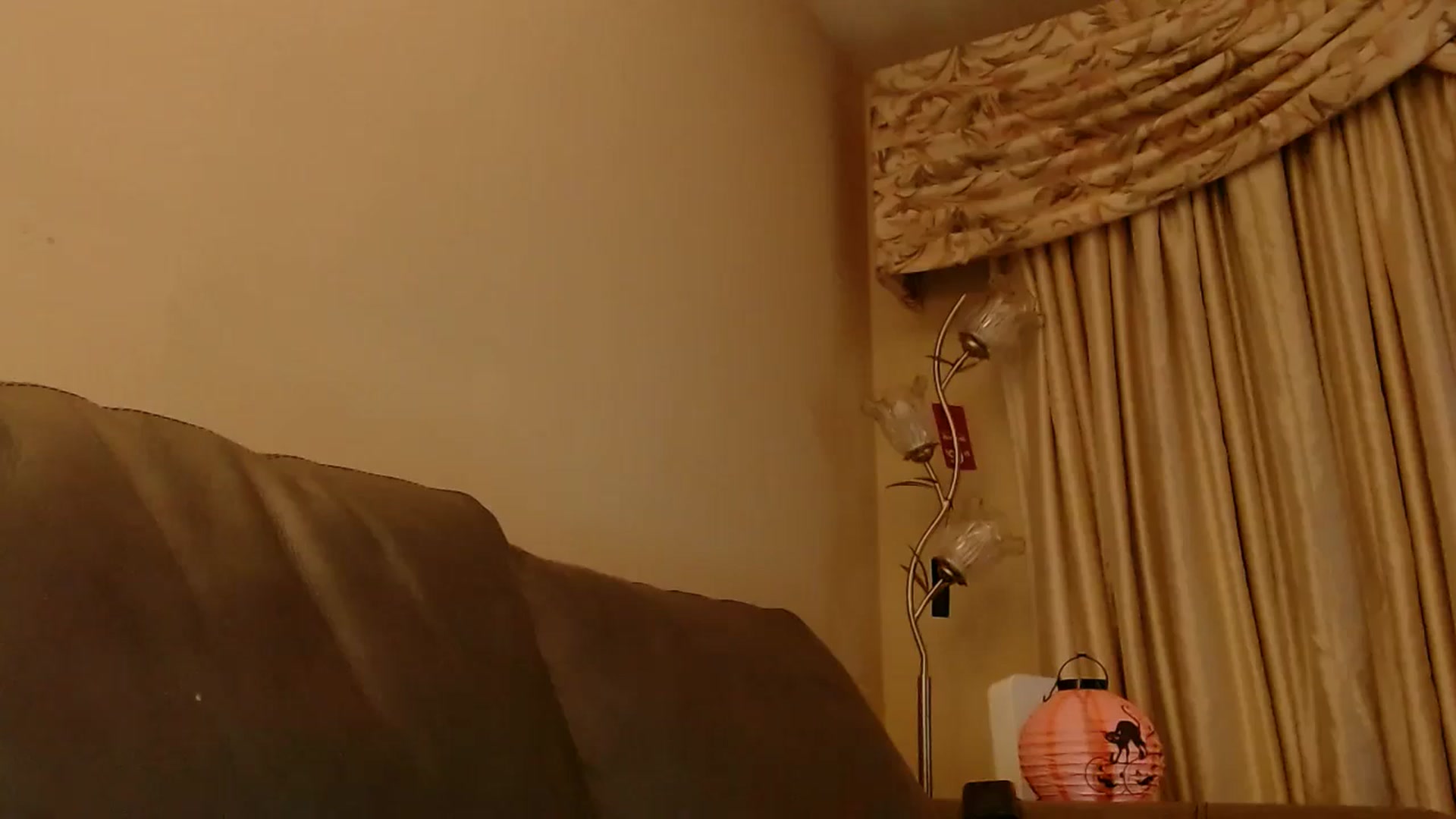 Gallery image thumbnail from PokeAPuss's myfreecams stream on, 10/30/2025, 11:07 image 13 of 20