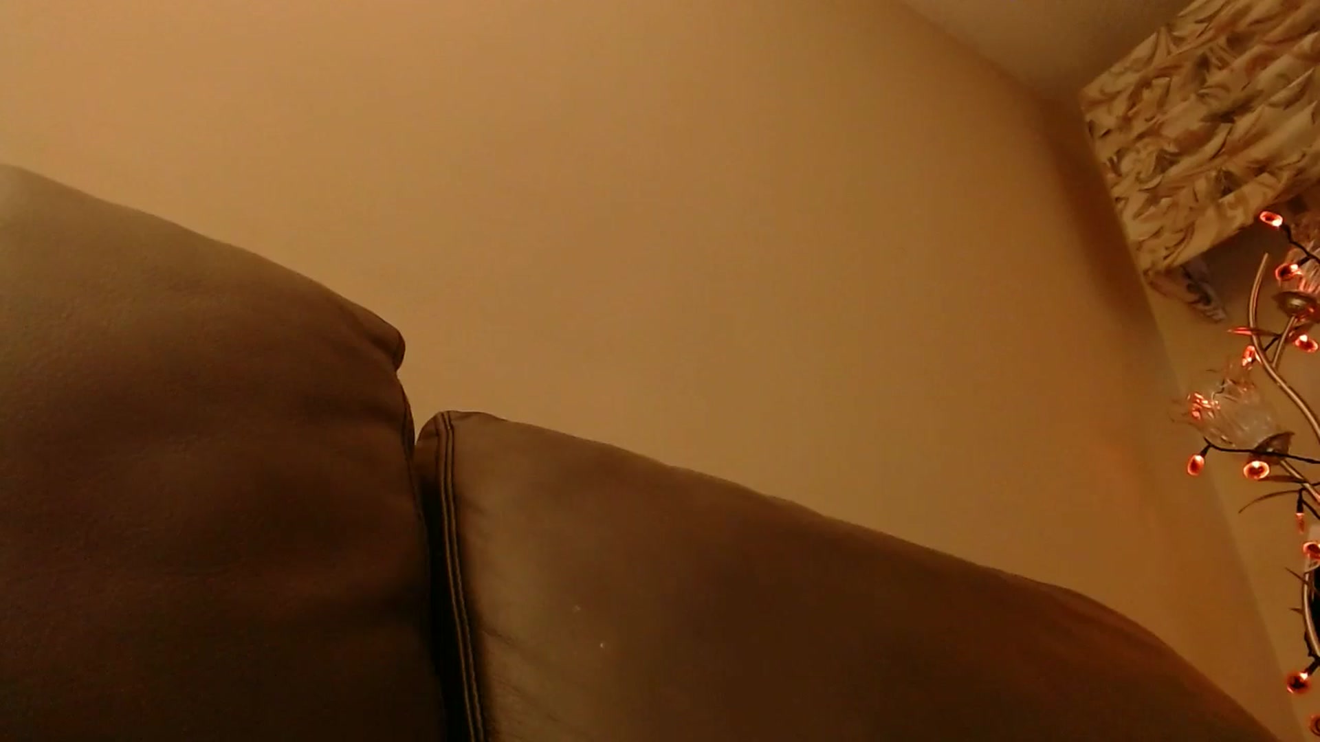 Gallery image thumbnail from PokeAPuss's myfreecams stream on, 11/02/2025, 14:56 image 7 of 20