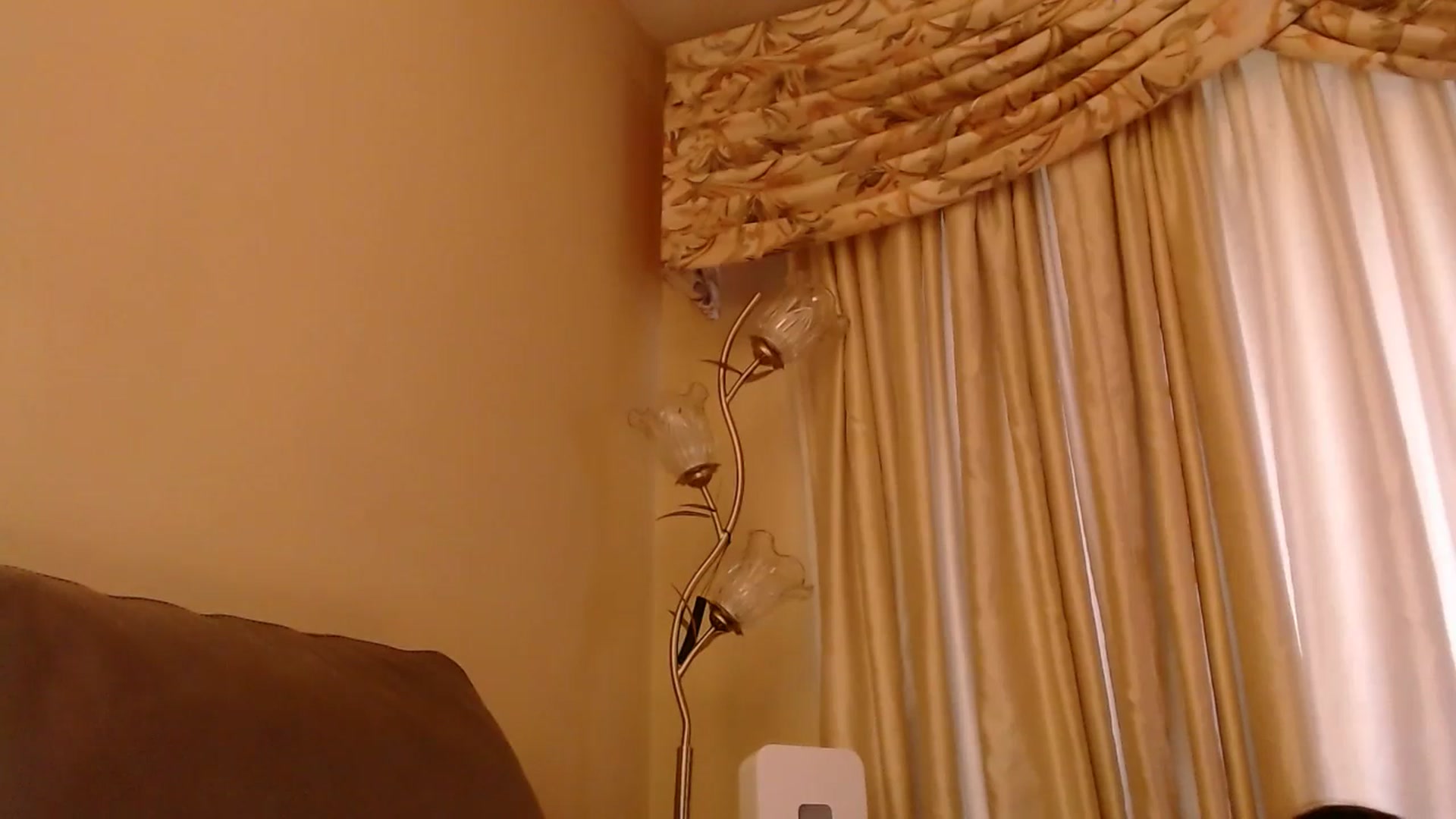 Gallery image thumbnail from PokeAPuss's myfreecams stream on, 11/07/2025, 13:24 image 11 of 20