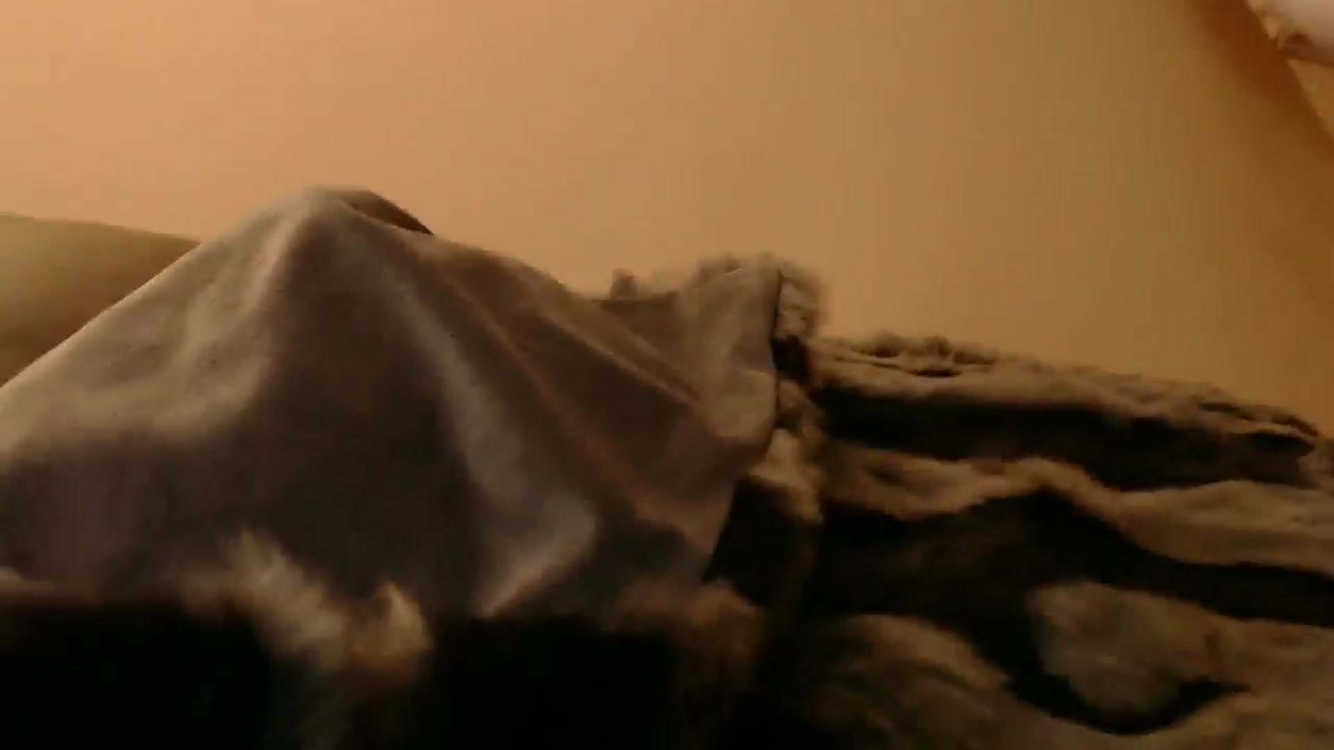 Gallery image thumbnail from PokeAPuss's myfreecams stream on, 12/23/2025, 12:12 image 18 of 20