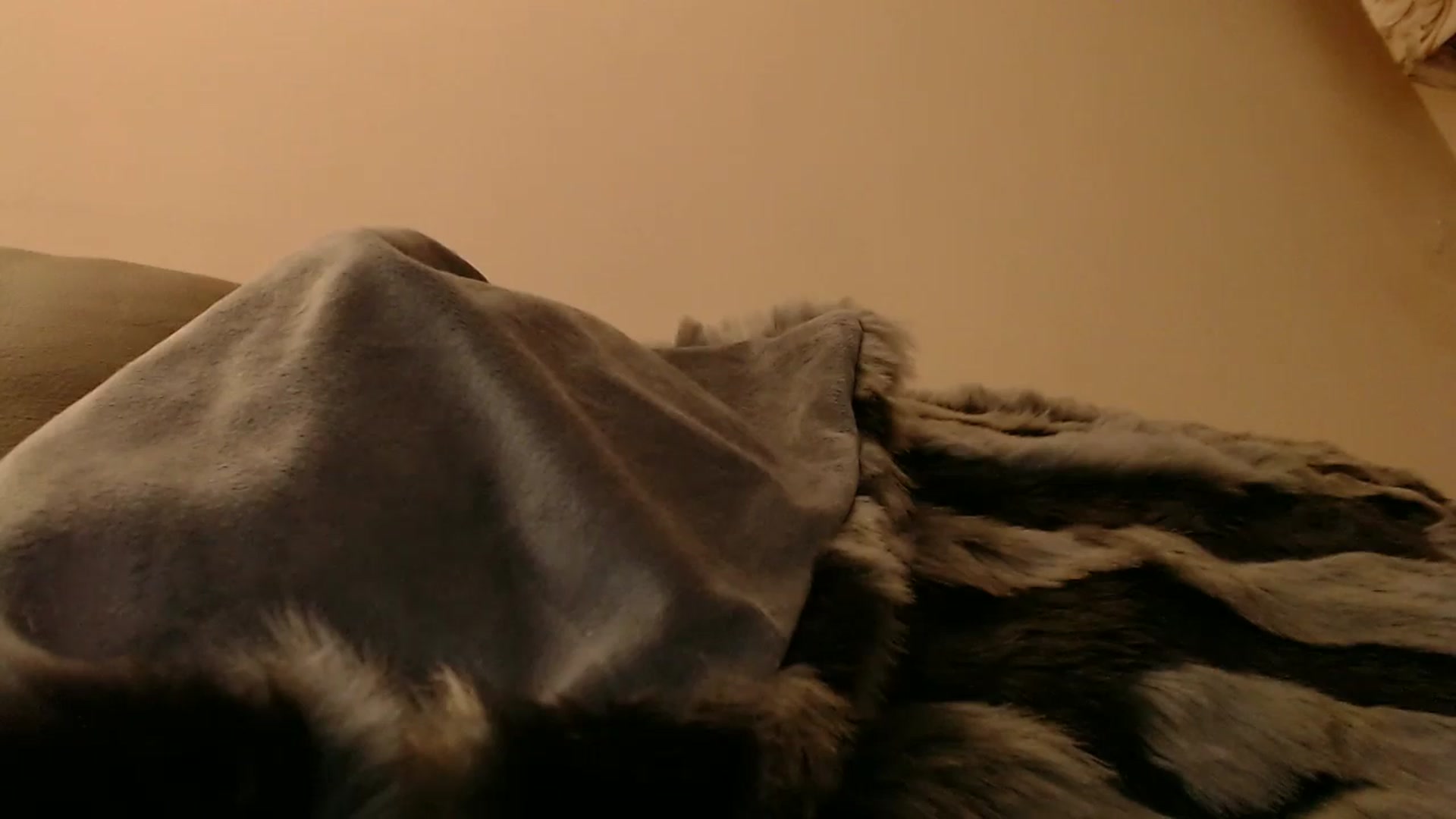 Gallery image thumbnail from PokeAPuss's myfreecams stream on, 12/23/2025, 12:12 image 19 of 20
