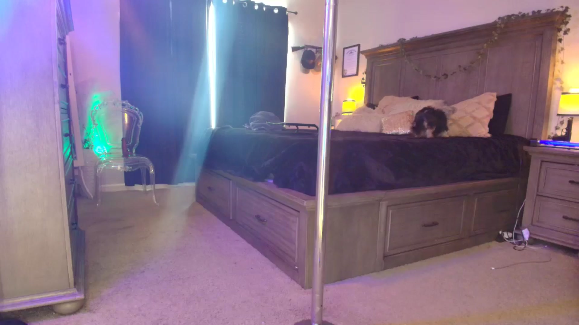 Gallery image thumbnail from PoleBunnyXxx's myfreecams stream on, 01/05/2026, 22:09 image 6 of 20