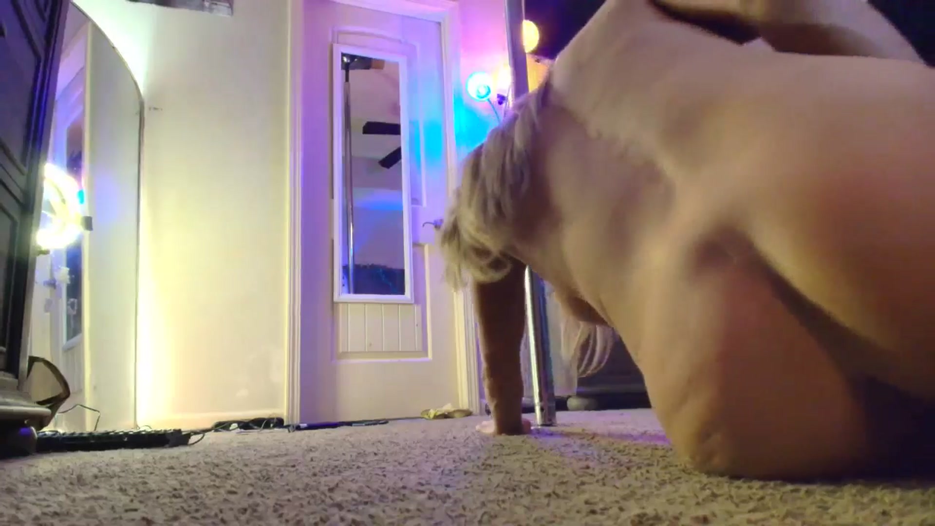 Gallery image thumbnail from PoleBunnyXxx's myfreecams stream on, 01/13/2026, 21:38 image 5 of 20