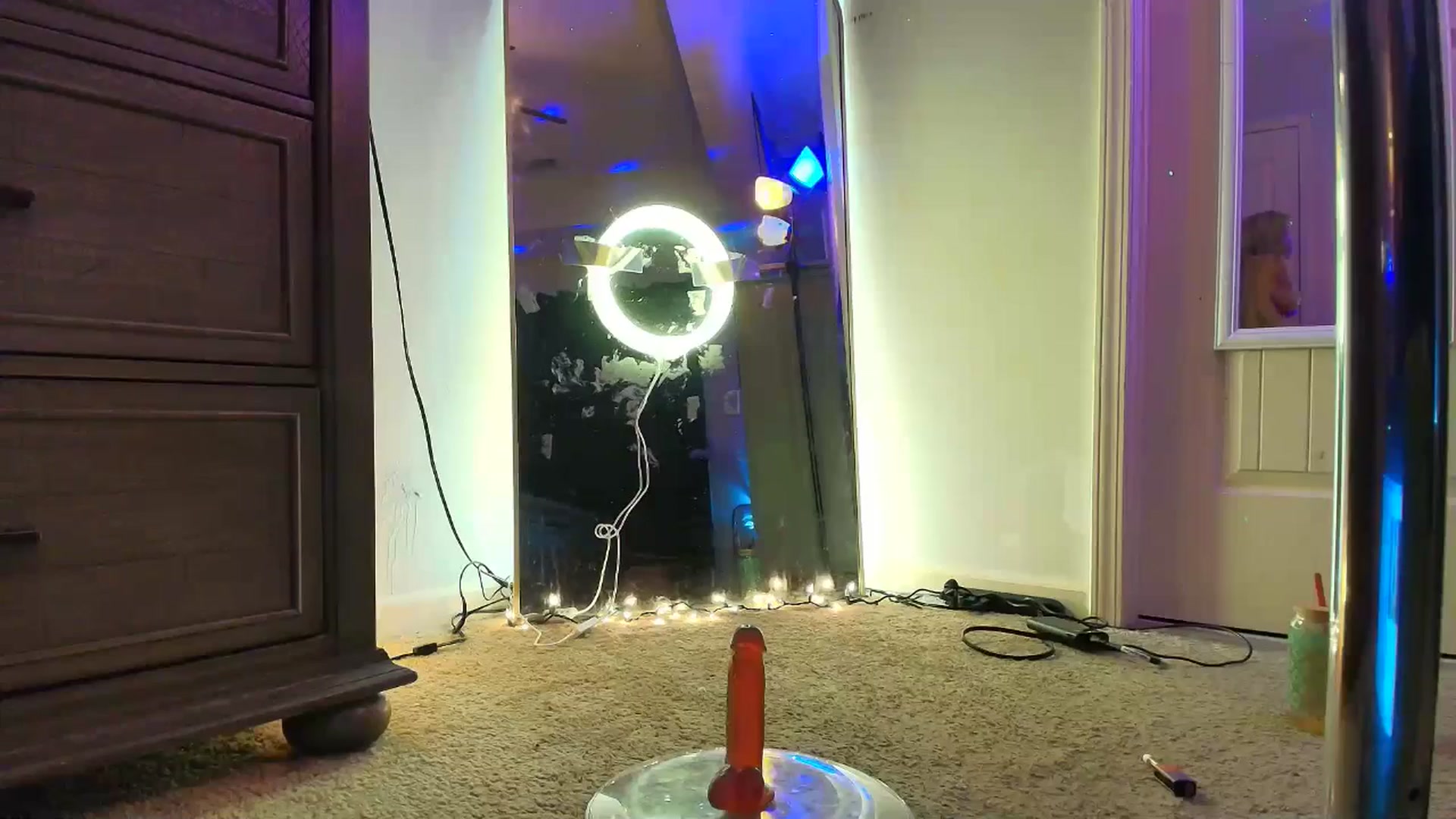 Gallery image thumbnail from PoleBunnyXxx's myfreecams stream on, 02/16/2026, 24:55 image 3 of 20