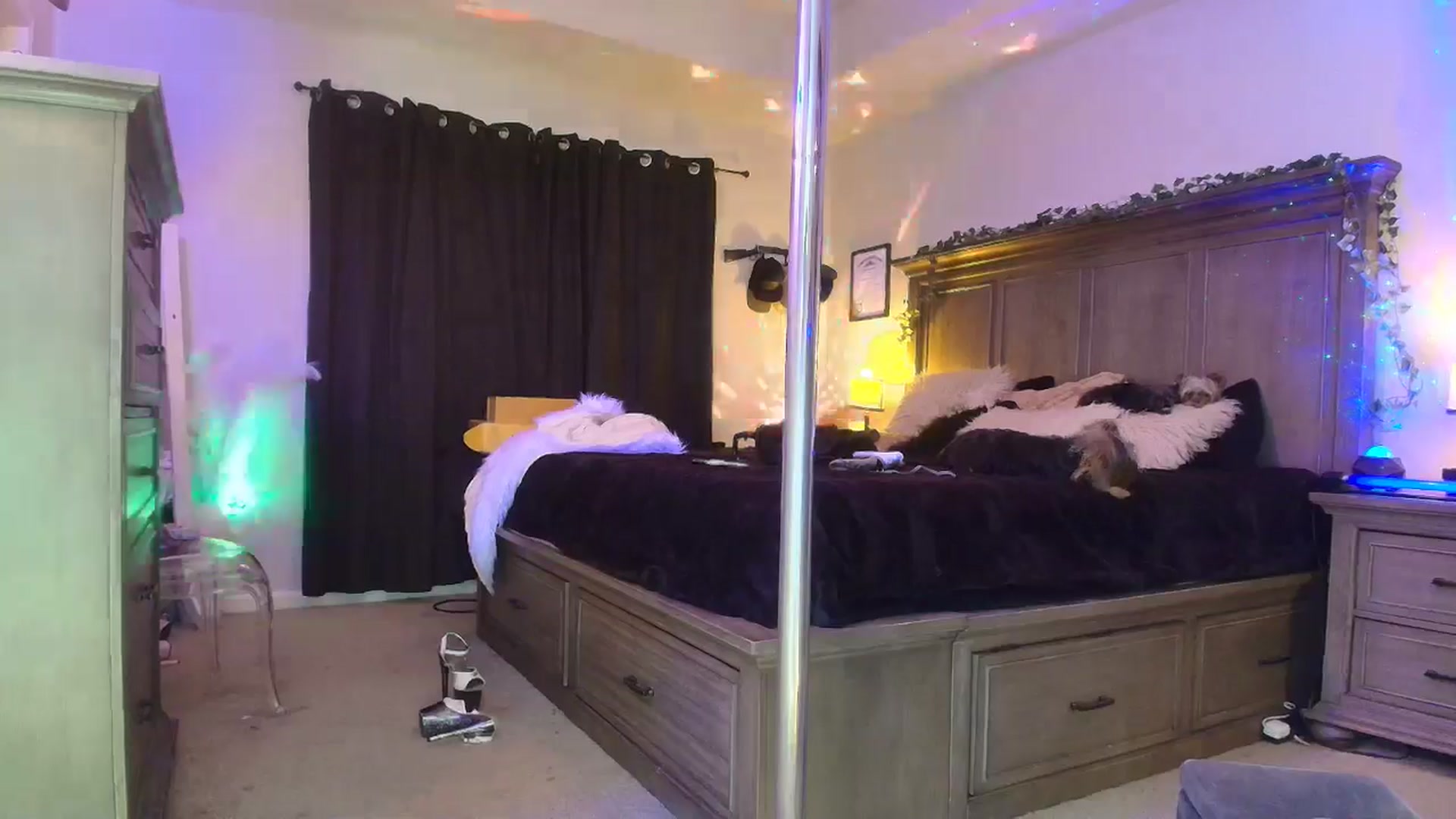 Gallery image thumbnail from PoleBunnyXxx's myfreecams stream on, 03/09/2026, 01:00 image 9 of 20