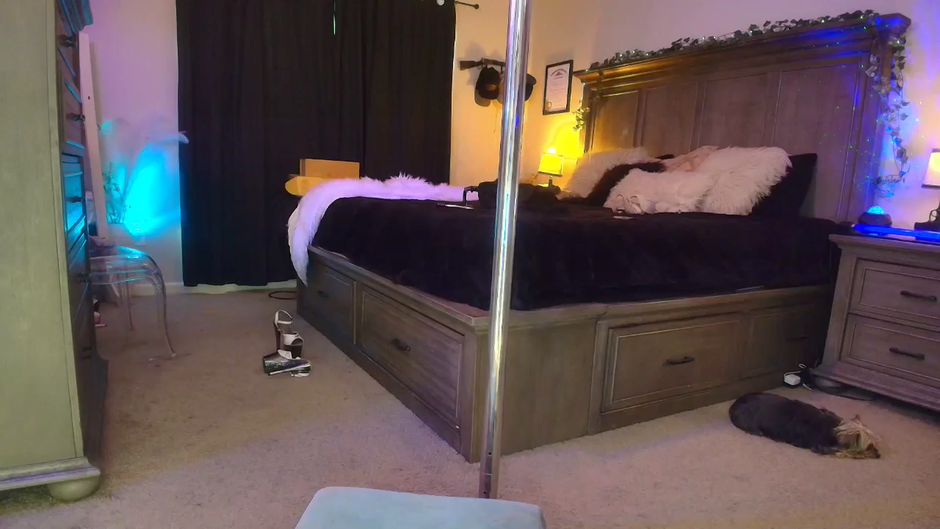 Gallery image thumbnail from PoleBunnyXxx's myfreecams stream on, 03/09/2026, 01:00 image 4 of 20