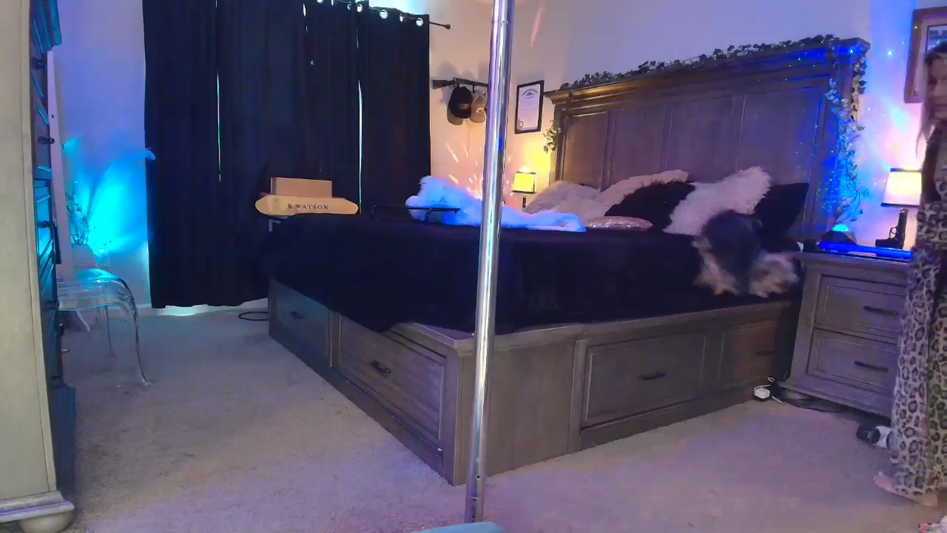 Gallery image thumbnail from PoleBunnyXxx's myfreecams stream on, 03/09/2026, 19:26 image 19 of 20