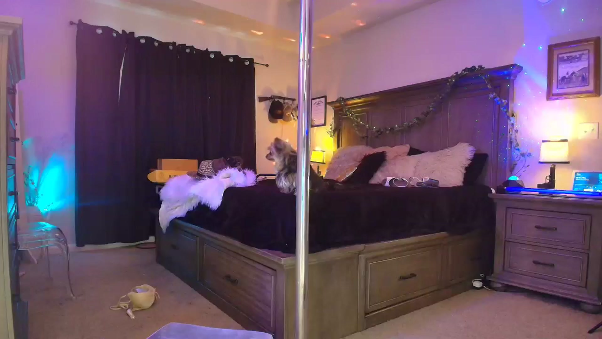 Gallery image thumbnail from PoleBunnyXxx's myfreecams stream on, 03/10/2026, 23:31 image 19 of 20