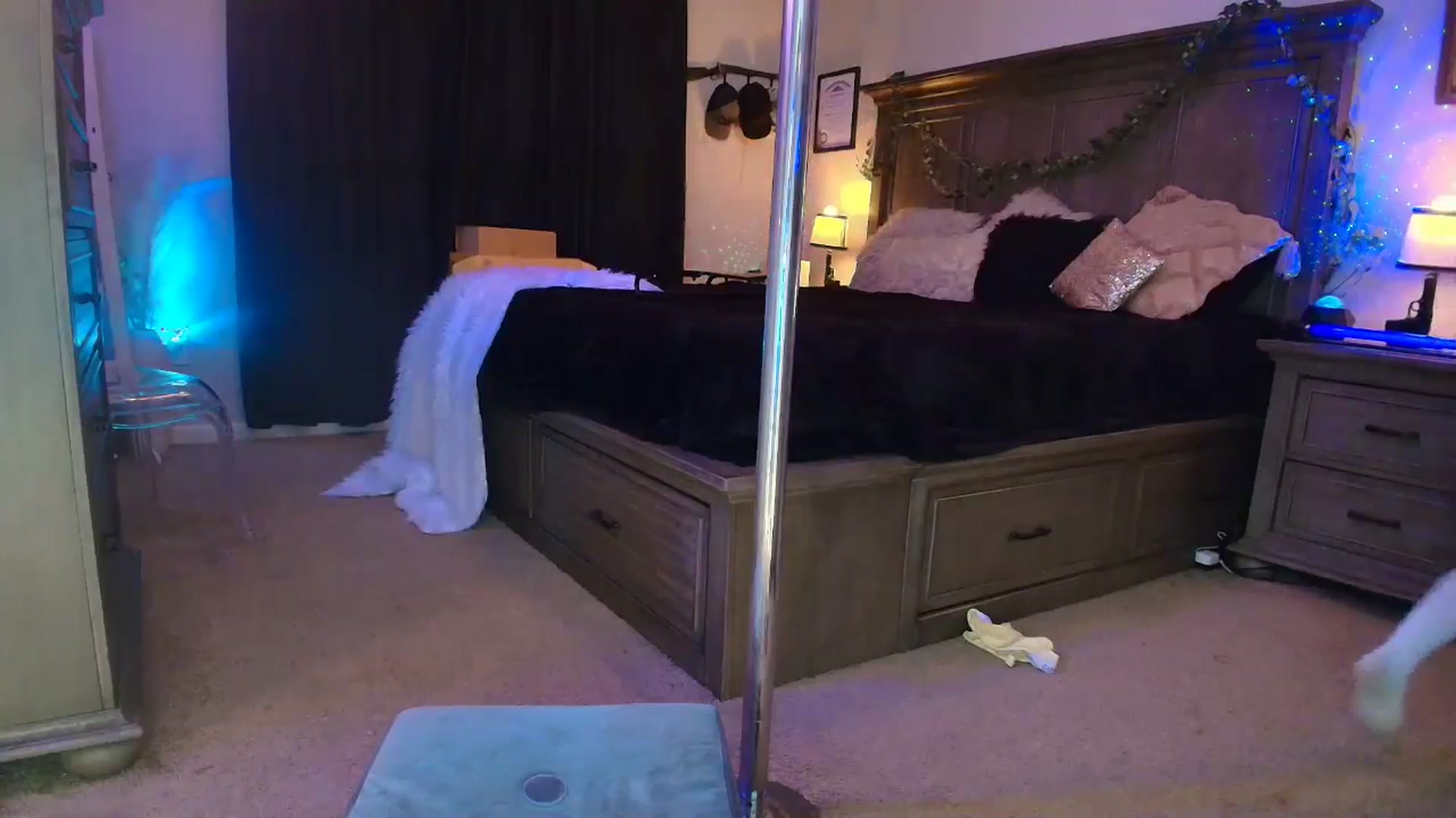 Gallery image thumbnail from PoleBunnyXxx's myfreecams stream on, 03/16/2026, 24:45 image 20 of 20