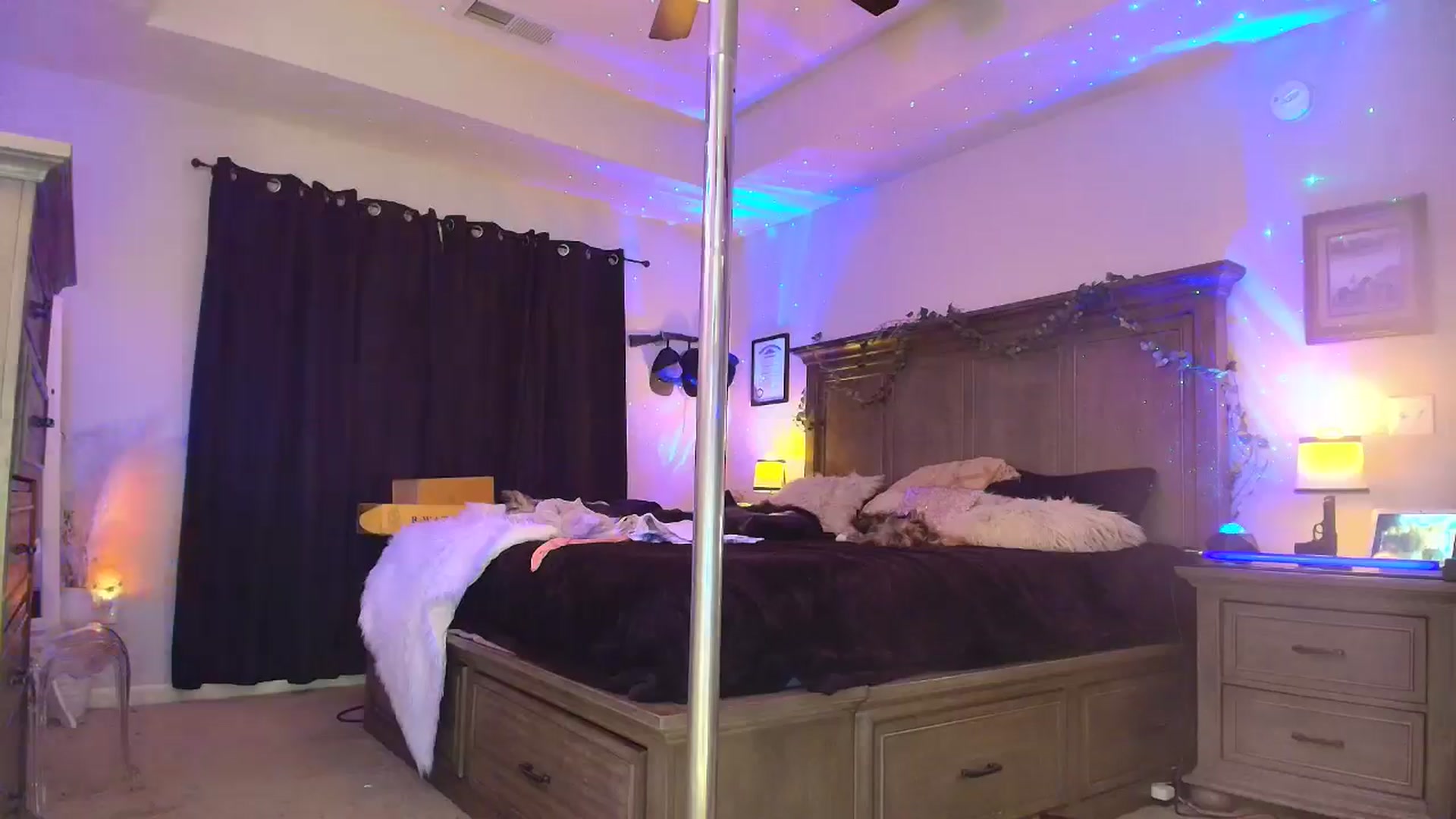 Gallery image thumbnail from PoleBunnyXxx's myfreecams stream on, 03/19/2026, 05:00 image 18 of 20