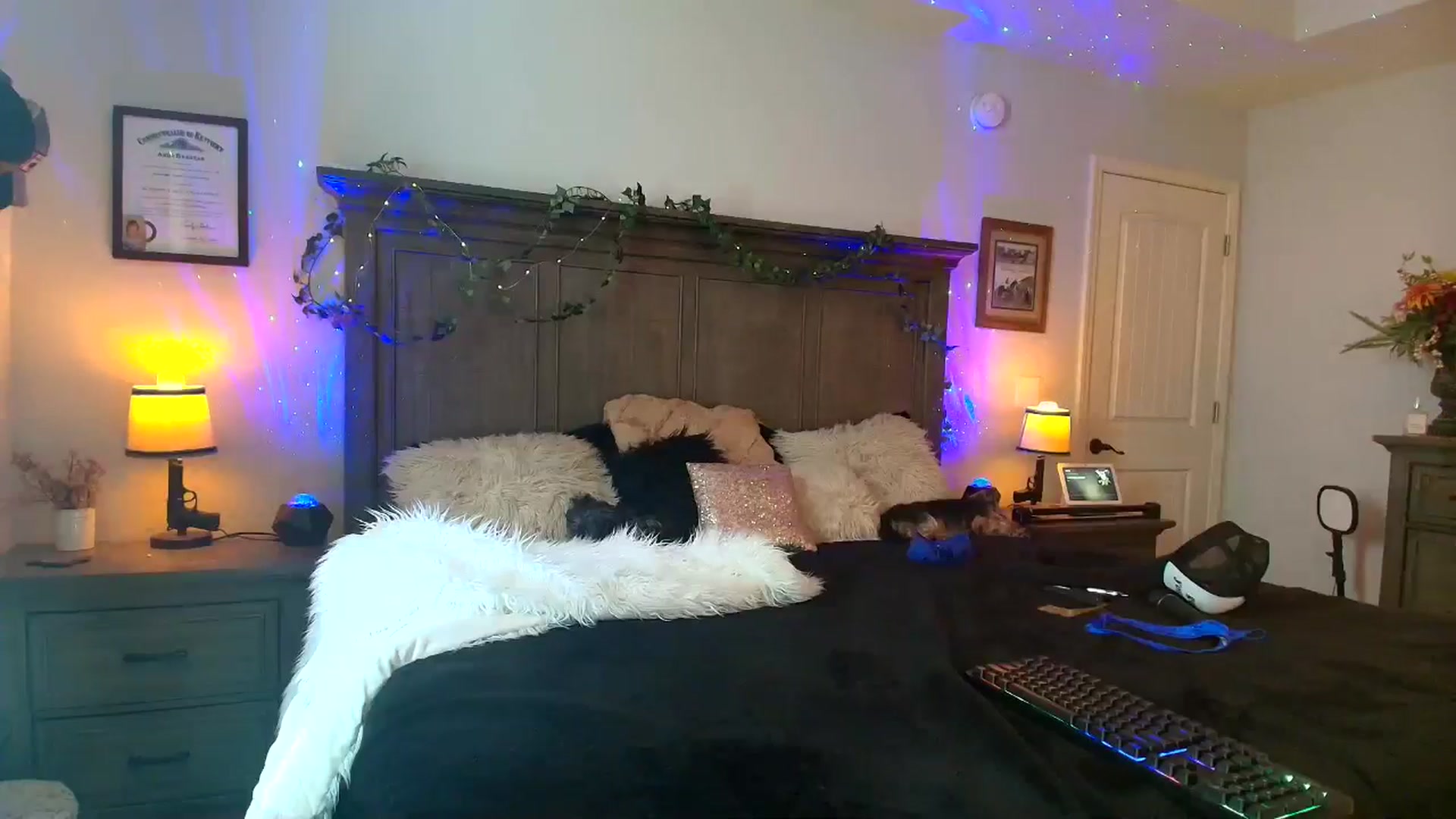 Gallery image thumbnail from PoleBunnyXxx's myfreecams stream on, 03/20/2026, 17:29 image 14 of 20