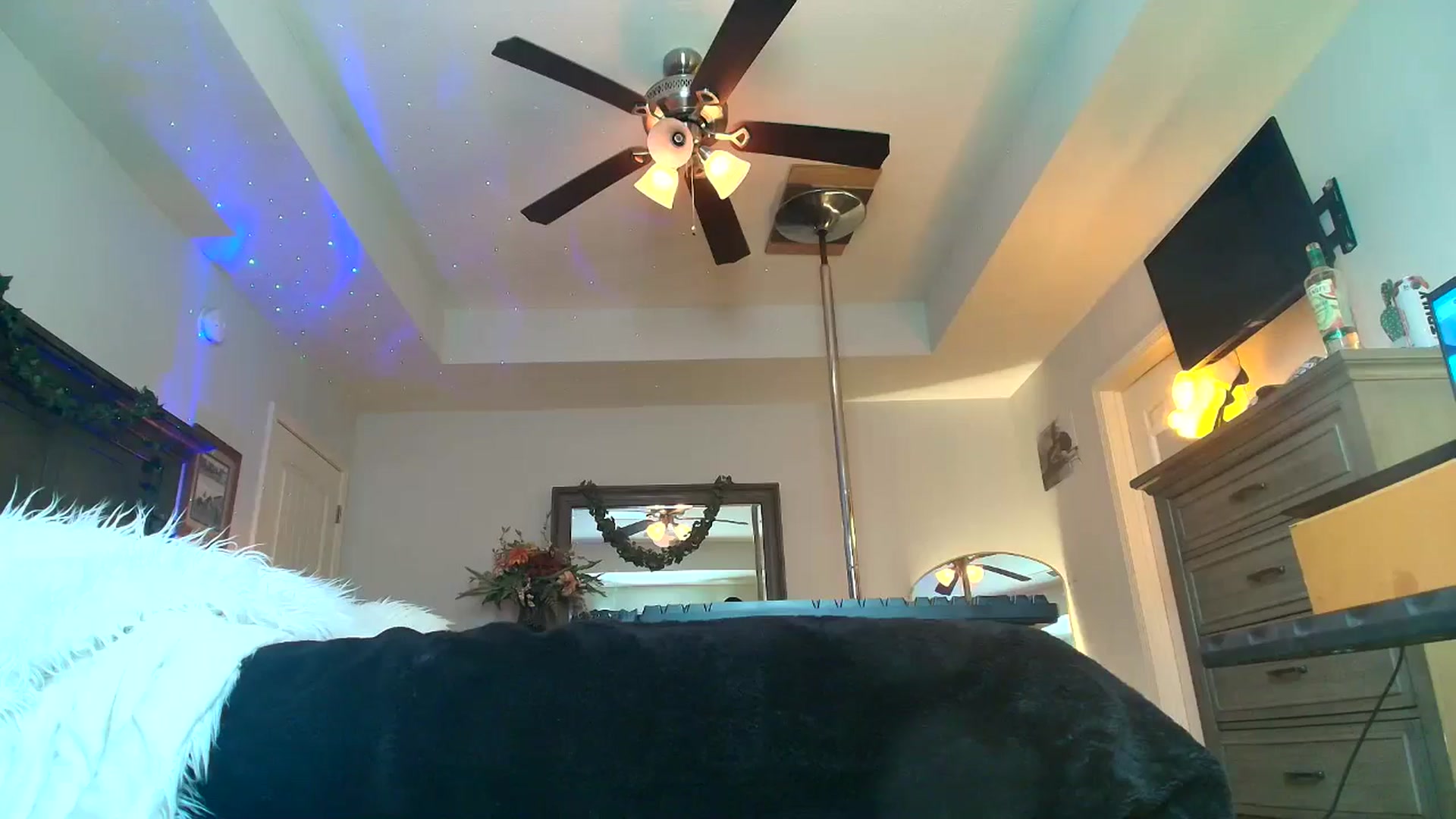 Gallery image thumbnail from PoleBunnyXxx's myfreecams stream on, 03/20/2026, 18:36 image 10 of 20