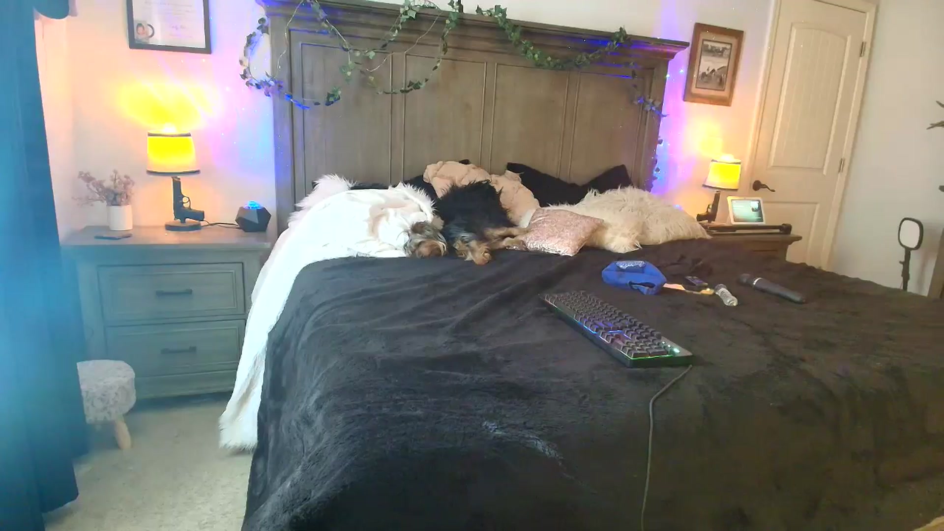Gallery image thumbnail from PoleBunnyXxx's myfreecams stream on, 03/20/2026, 20:13 image 10 of 20