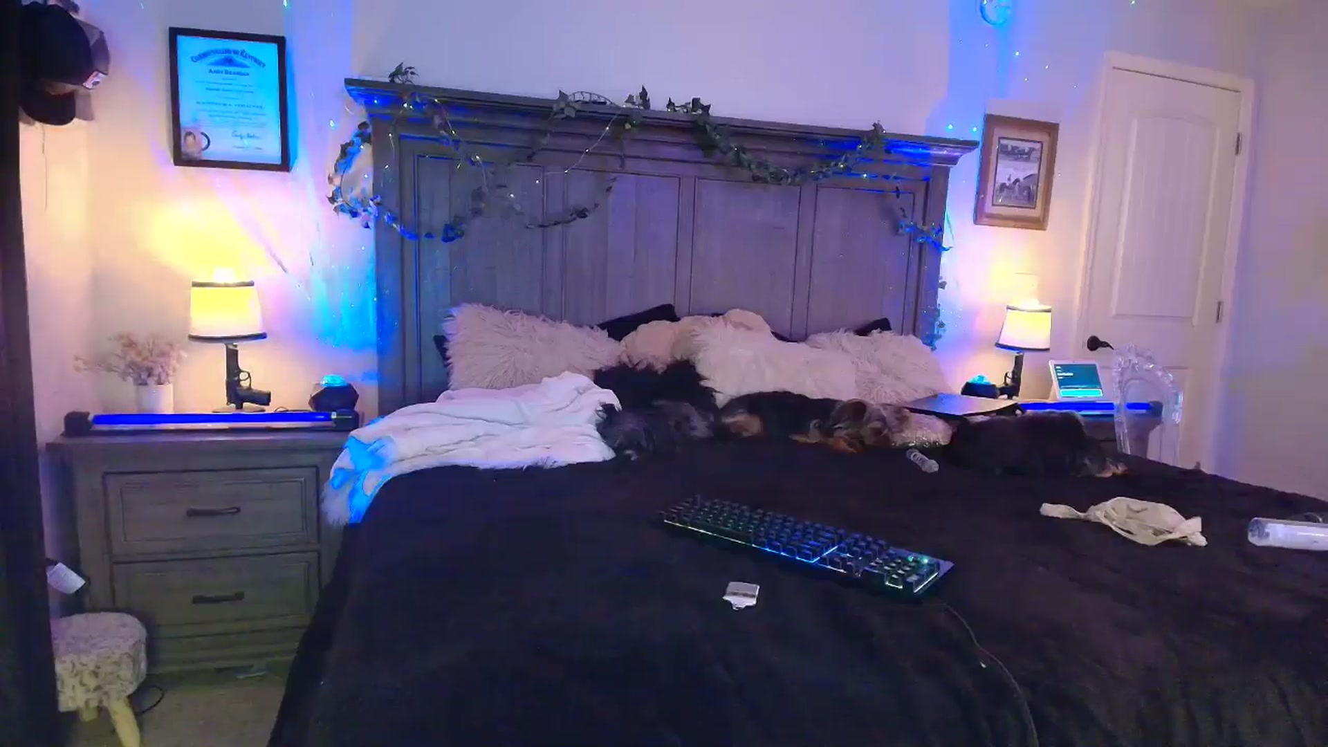 Gallery image thumbnail from PoleBunnyXxx's myfreecams stream on, 03/23/2026, 01:59 image 4 of 20