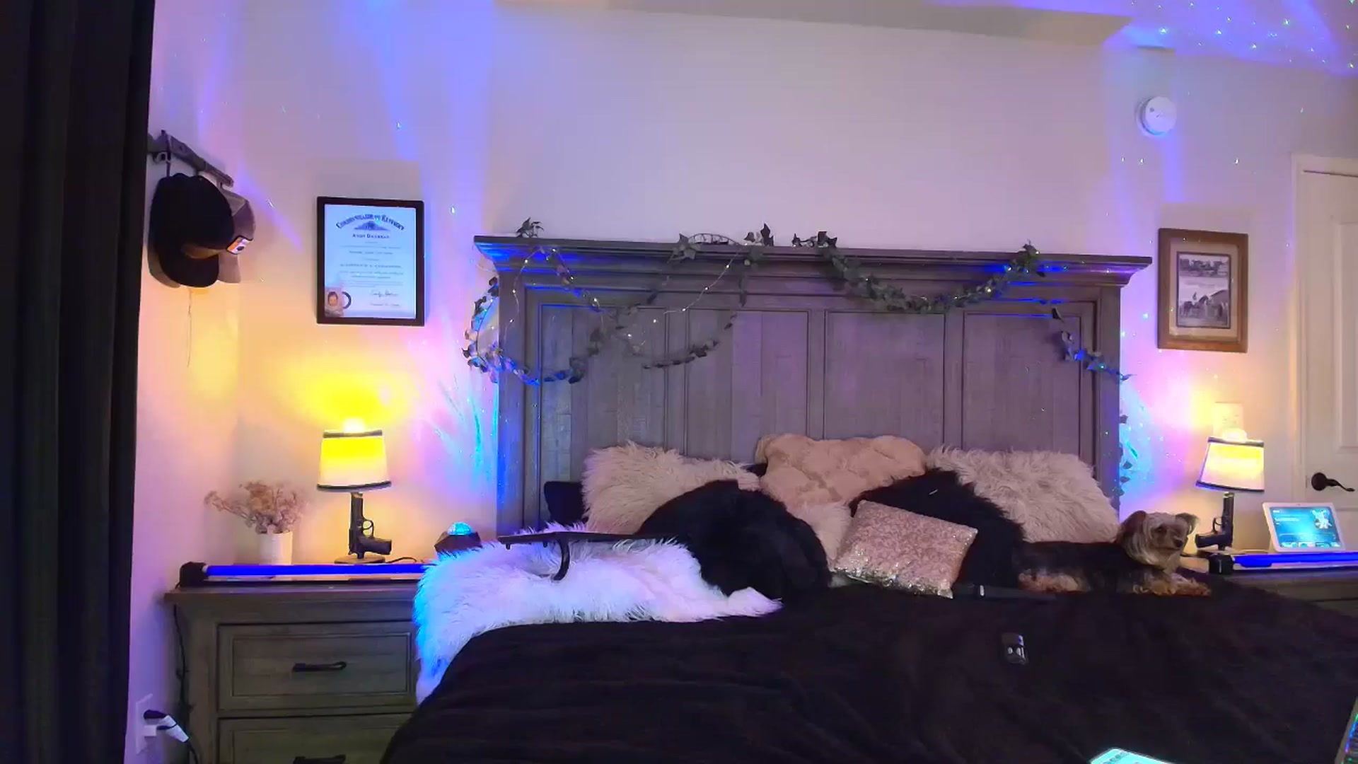 Gallery image thumbnail from PoleBunnyXxx's myfreecams stream on, 03/24/2026, 24:00 image 10 of 20