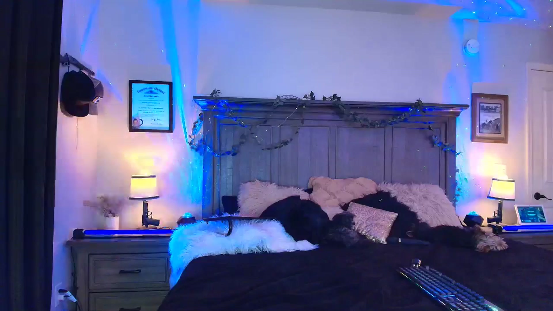 Gallery image thumbnail from PoleBunnyXxx's myfreecams stream on, 03/24/2026, 24:00 image 8 of 20