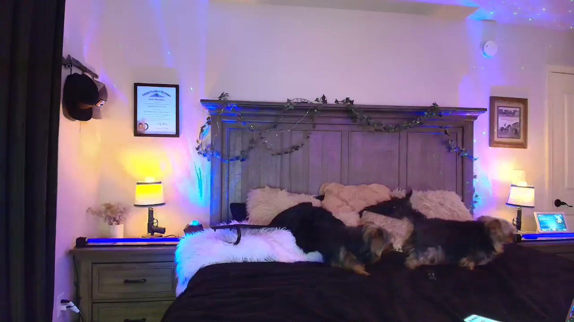 Gallery image thumbnail from PoleBunnyXxx's myfreecams stream on, 03/24/2026, 24:00 image 11 of 20