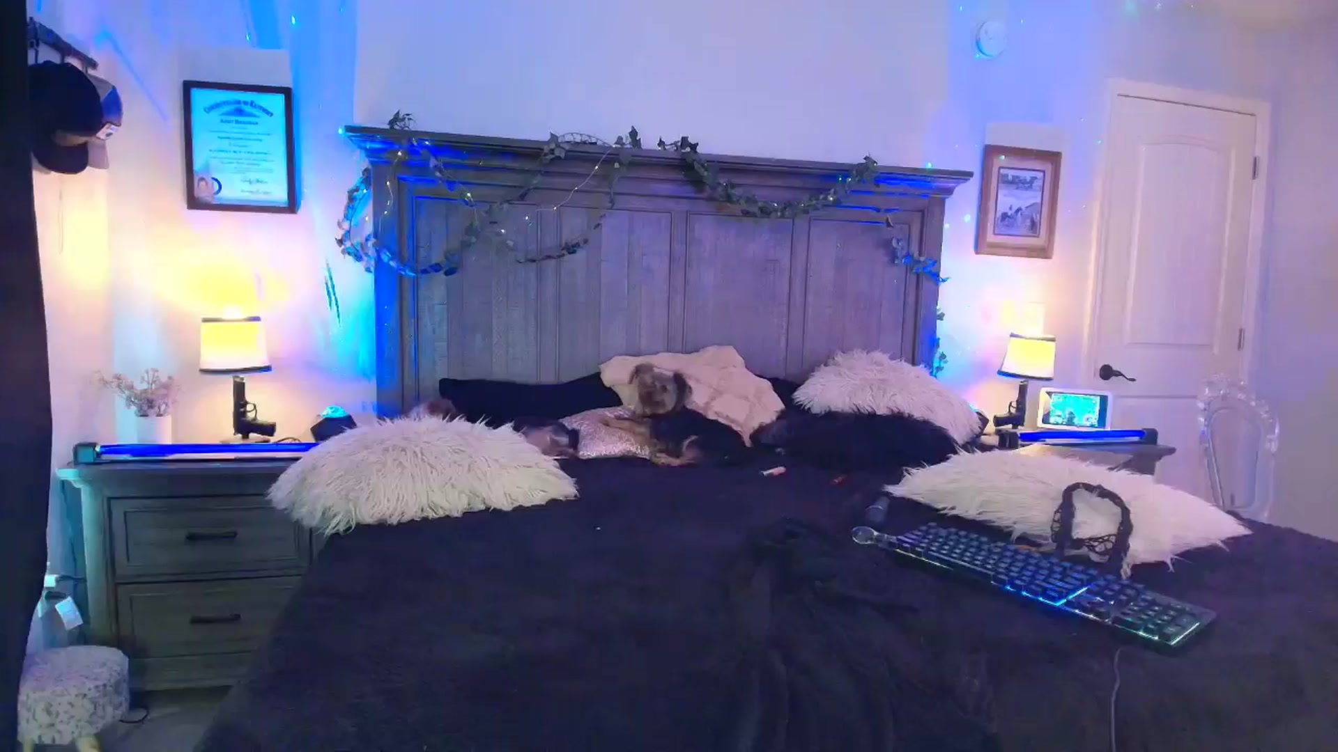 Gallery image thumbnail from PoleBunnyXxx's myfreecams stream on, 03/25/2026, 21:49 image 20 of 20