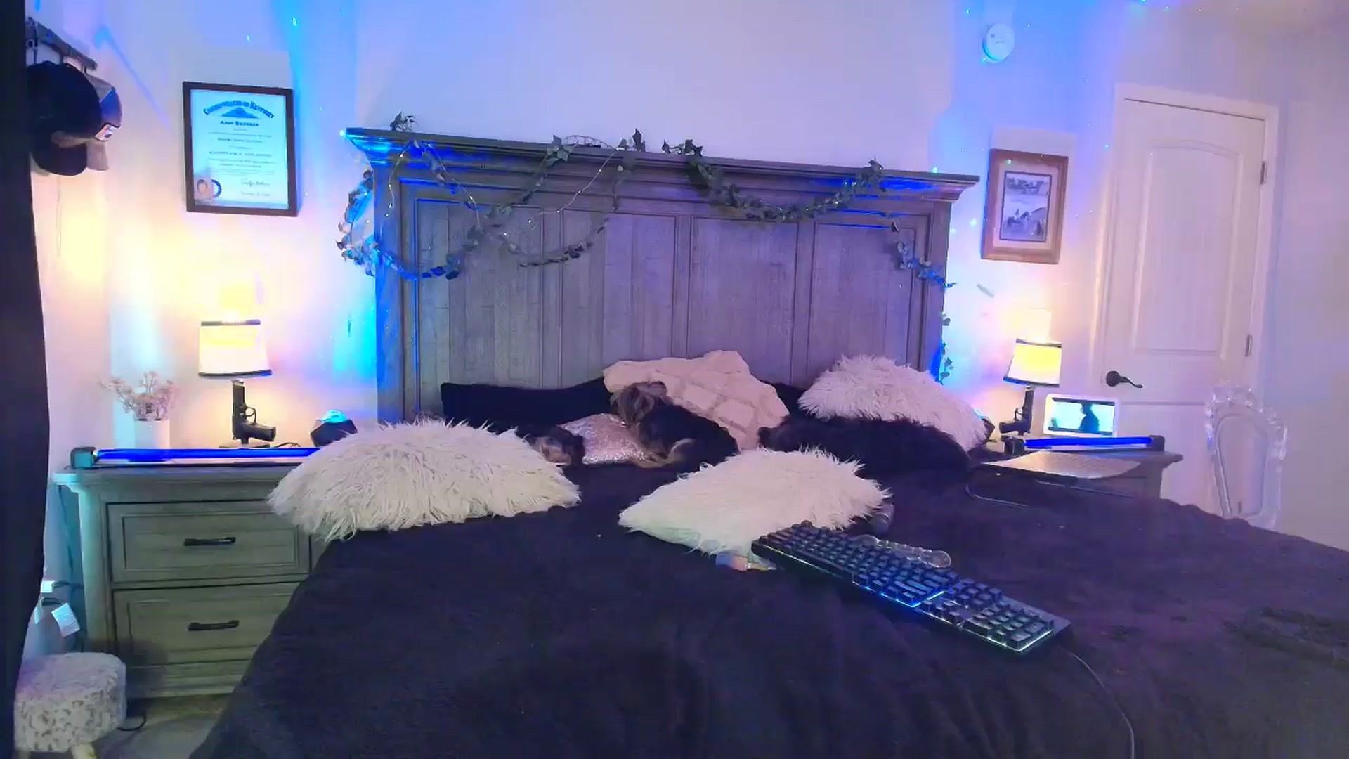 Gallery image thumbnail from PoleBunnyXxx's myfreecams stream on, 03/25/2026, 21:49 image 19 of 20