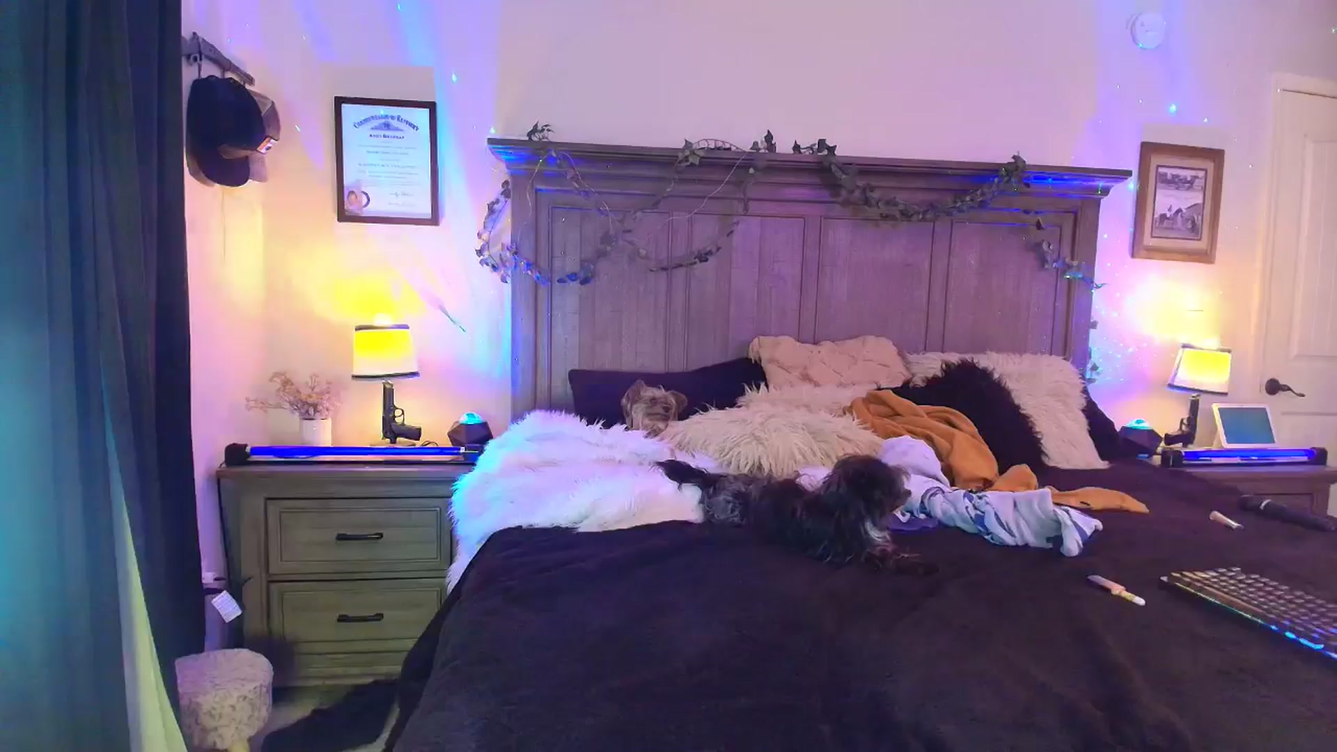 Gallery image thumbnail from PoleBunnyXxx's myfreecams stream on, 03/28/2026, 24:05 image 18 of 20