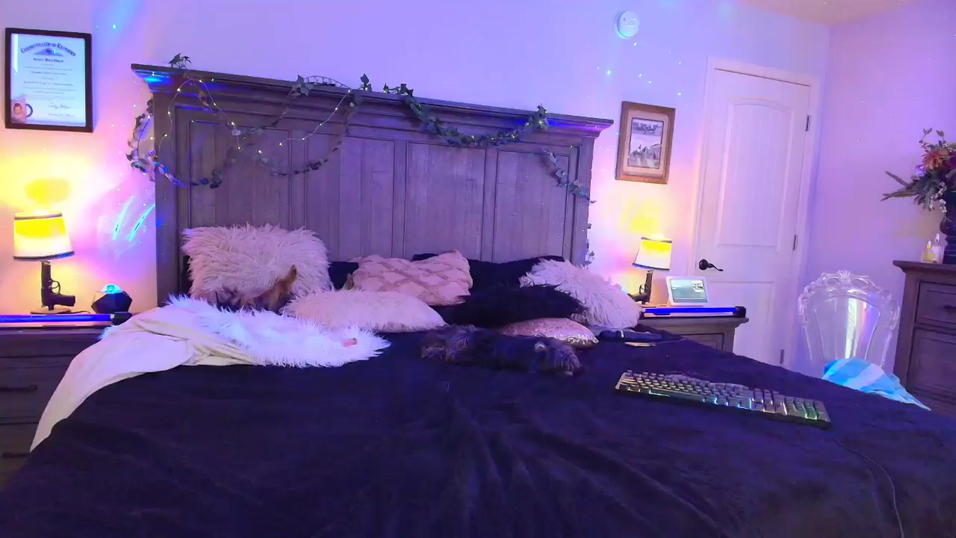 Gallery image thumbnail from PoleBunnyXxx's myfreecams stream on, 03/31/2026, 20:01 image 8 of 20