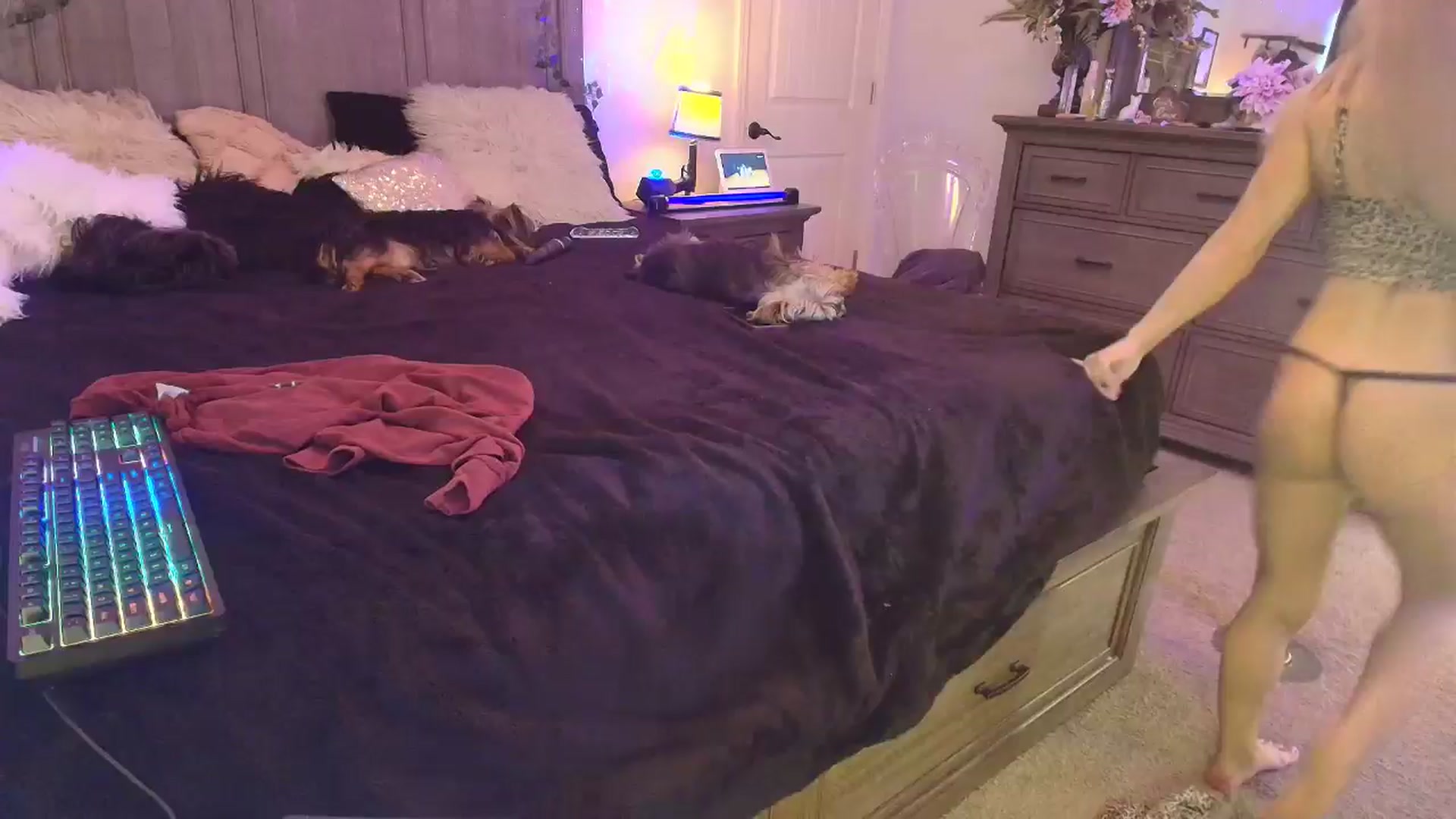 Gallery image thumbnail from PoleBunnyXxx's myfreecams stream on, 04/11/2026, 20:16 image 12 of 20