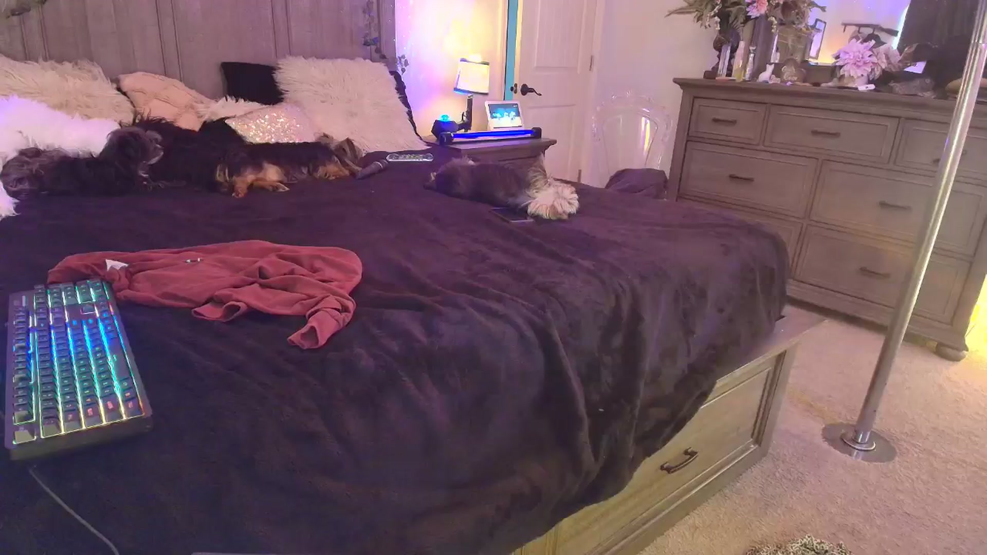Gallery image thumbnail from PoleBunnyXxx's myfreecams stream on, 04/11/2026, 20:16 image 13 of 20