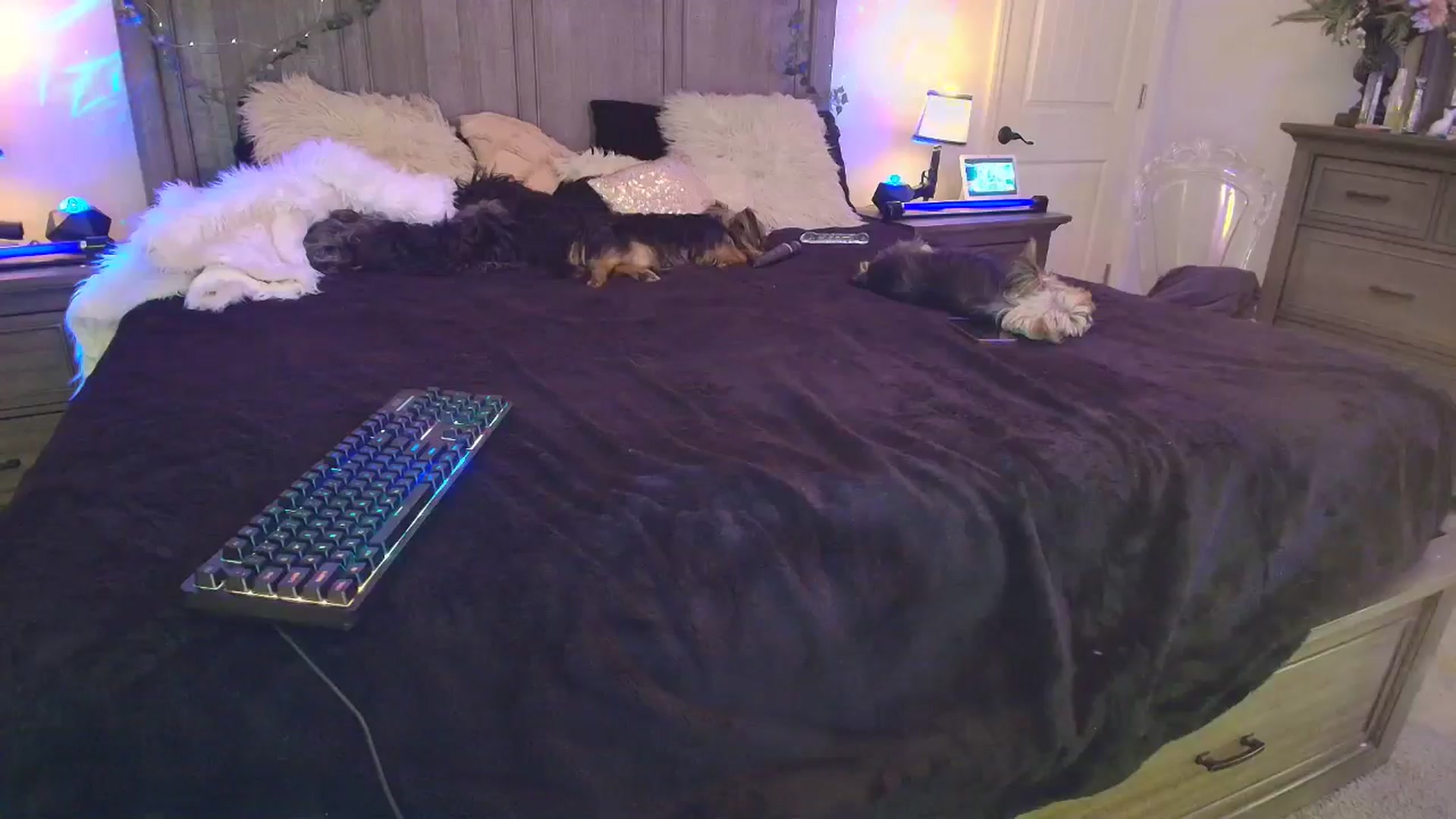 Gallery image thumbnail from PoleBunnyXxx's myfreecams stream on, 04/11/2026, 20:16 image 17 of 20