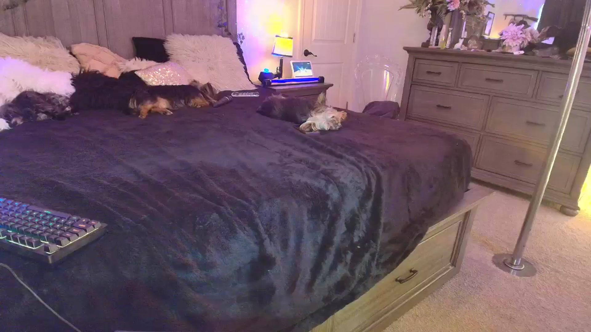 Gallery image thumbnail from PoleBunnyXxx's myfreecams stream on, 04/11/2026, 20:16 image 11 of 20