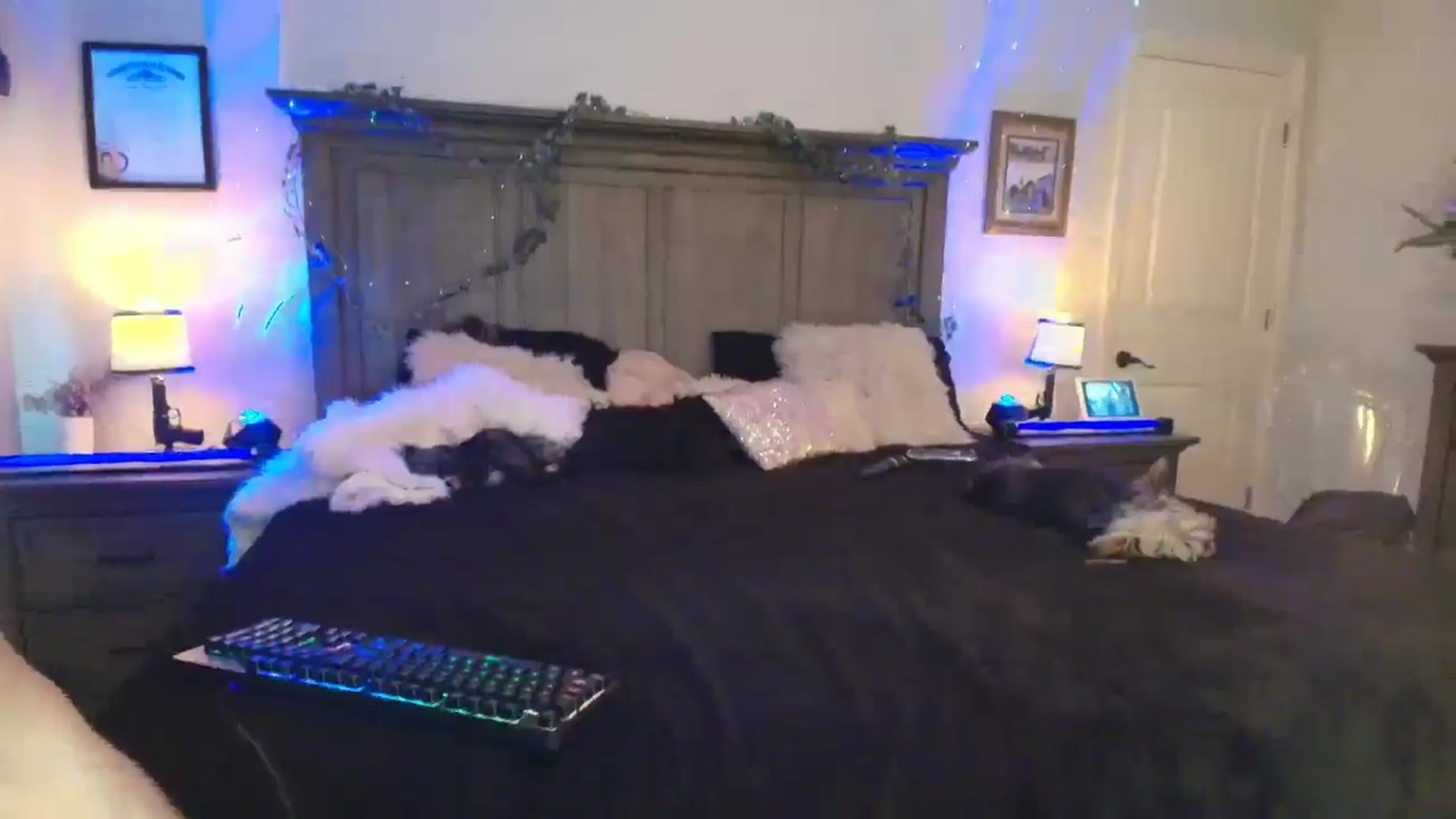 Gallery image thumbnail from PoleBunnyXxx's myfreecams stream on, 04/11/2026, 20:16 image 3 of 20