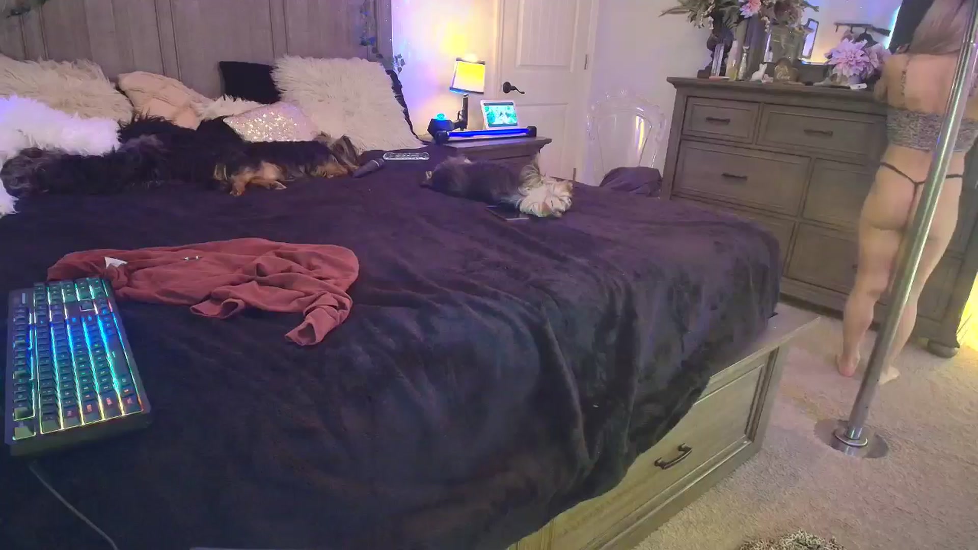 Gallery image thumbnail from PoleBunnyXxx's myfreecams stream on, 04/11/2026, 20:16 image 15 of 20