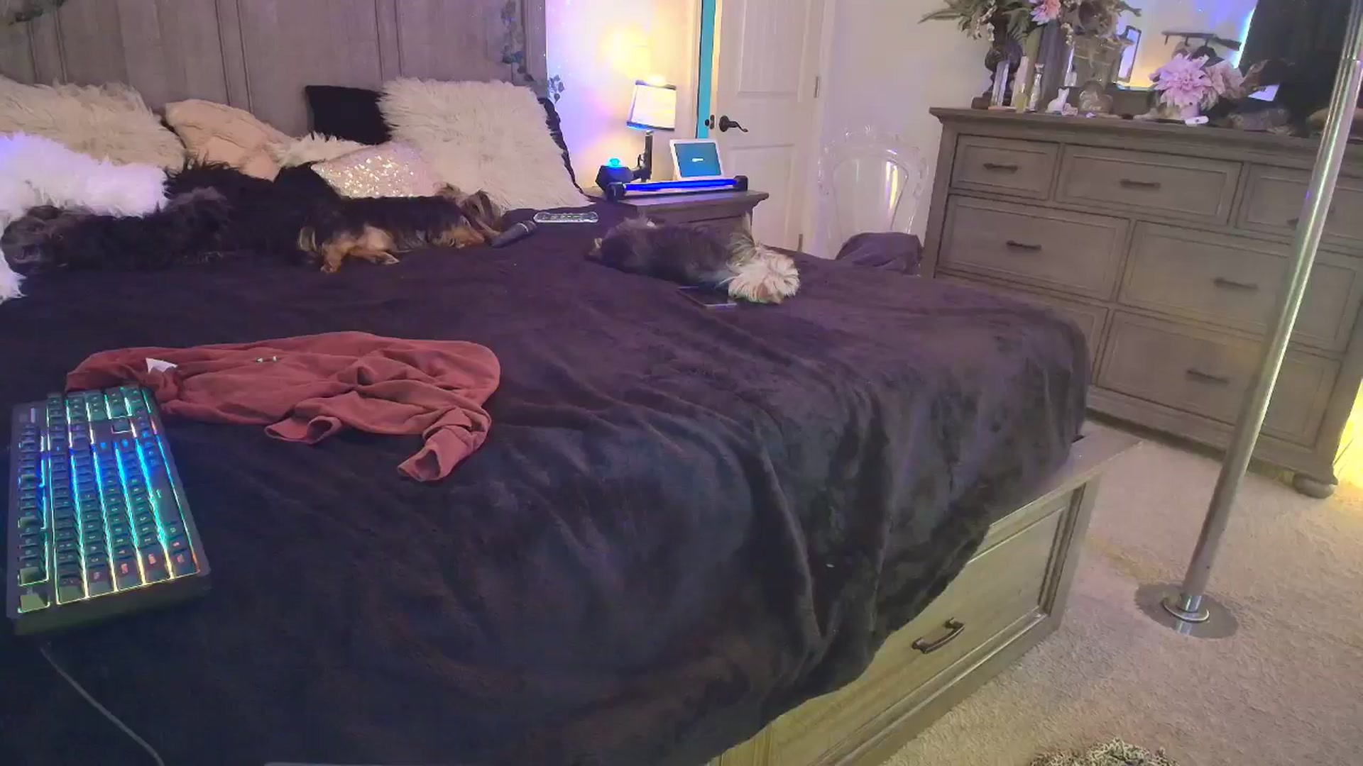 Gallery image thumbnail from PoleBunnyXxx's myfreecams stream on, 04/11/2026, 20:16 image 14 of 20