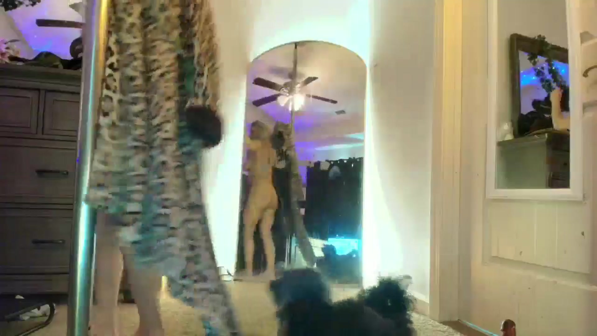 Gallery image thumbnail from PoleBunnyXxx's myfreecams stream on, 04/14/2026, 23:36 image 9 of 20
