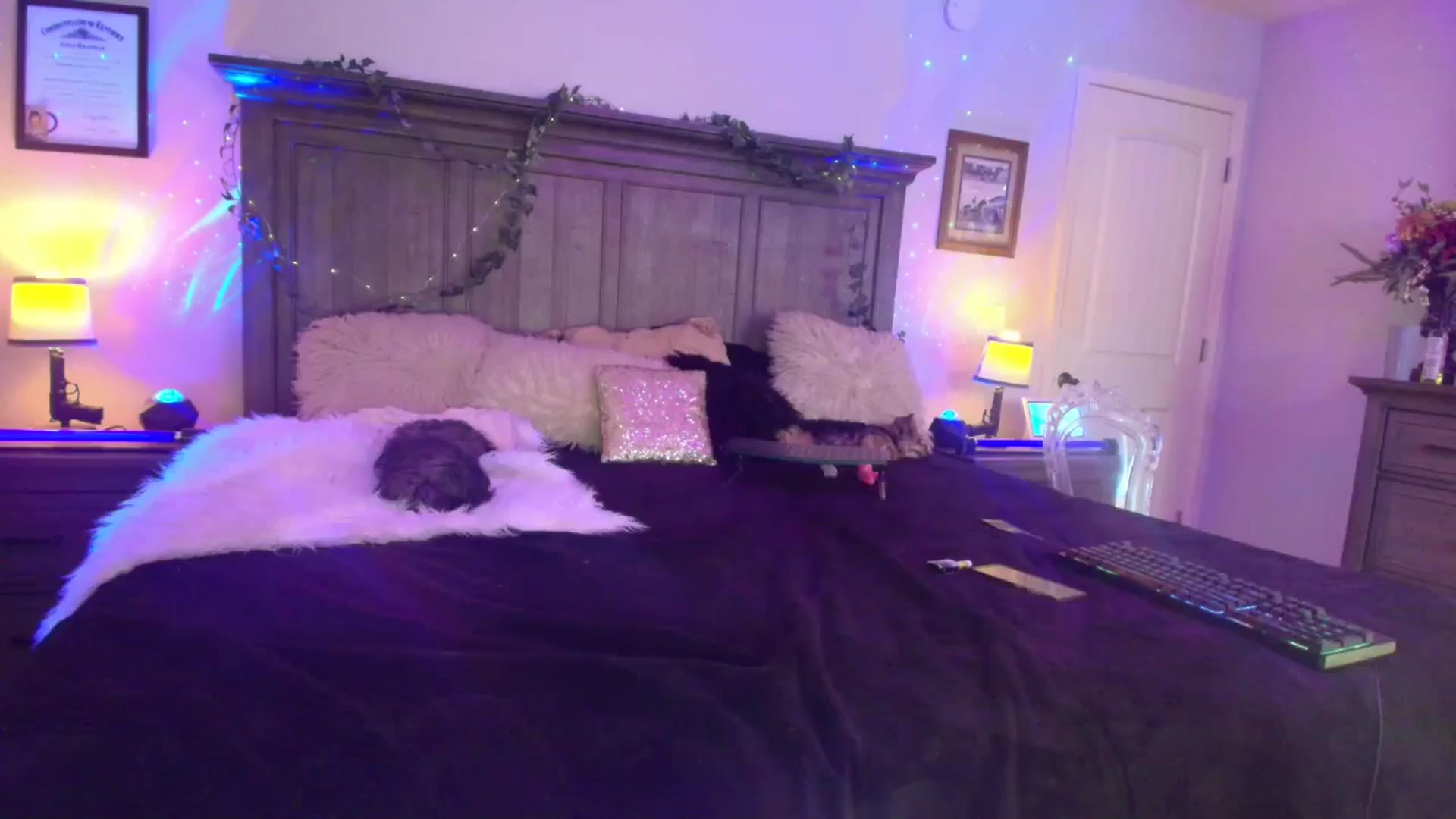 Gallery image thumbnail from PoleBunnyXxx's myfreecams stream on, 04/15/2026, 20:14 image 1 of 20