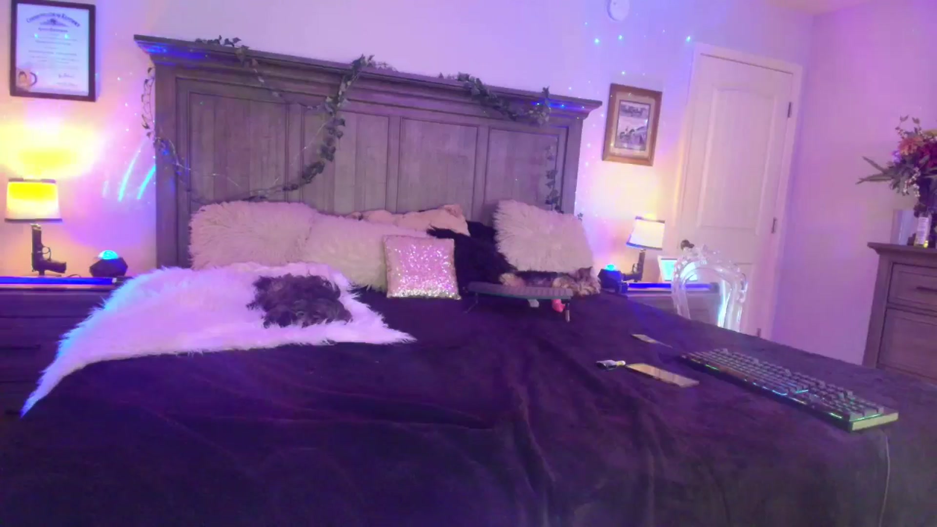 Gallery image thumbnail from PoleBunnyXxx's myfreecams stream on, 04/15/2026, 20:14 image 2 of 20