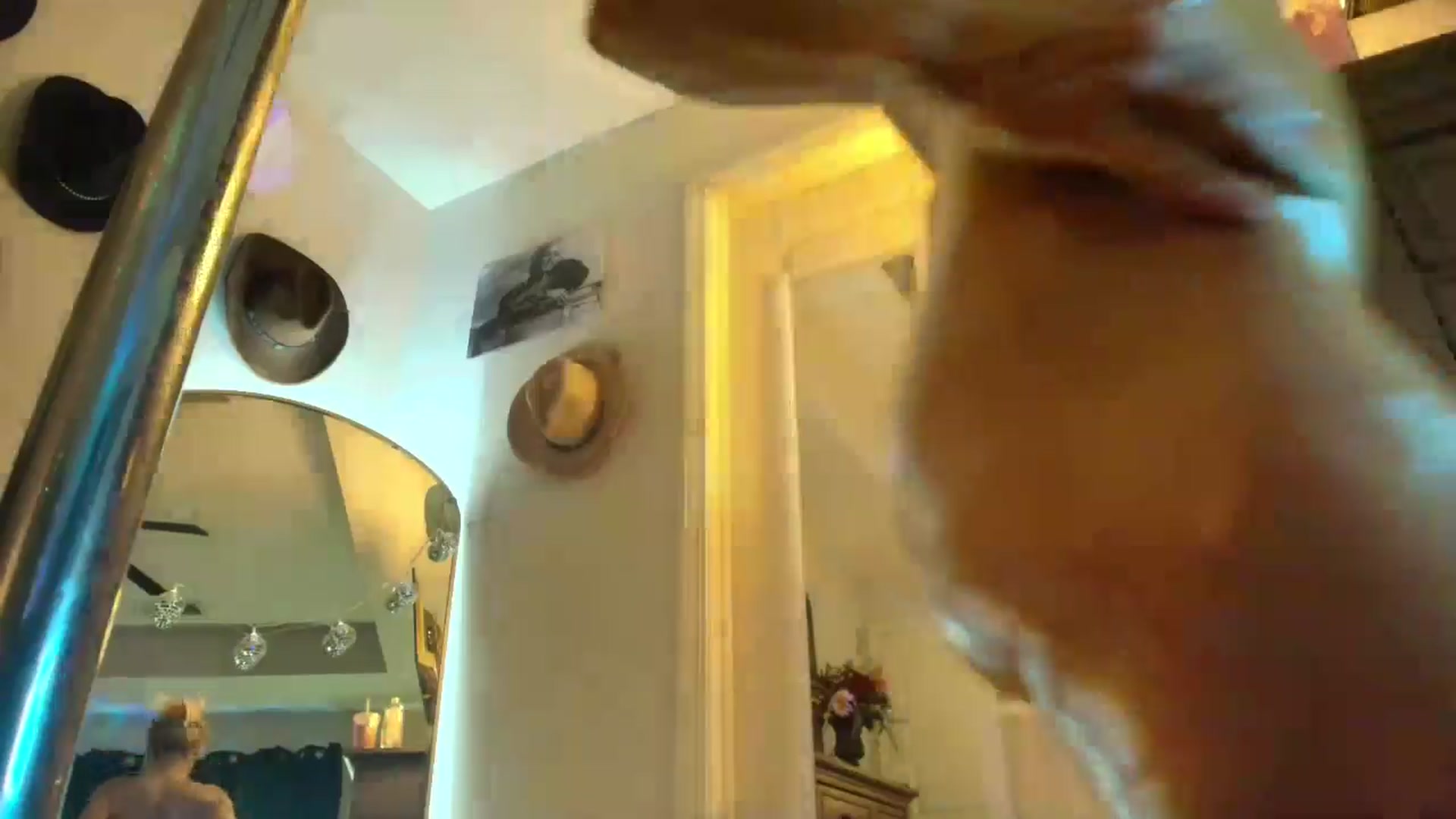 Gallery image thumbnail from PoleBunnyXxx's myfreecams stream on, 05/03/2026, 23:51 image 15 of 20