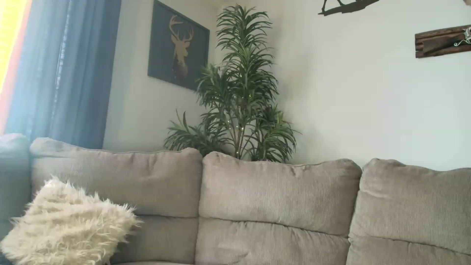Gallery image thumbnail from PoleBunnyXxx's myfreecams stream on, 05/20/2026, 17:15 image 7 of 20